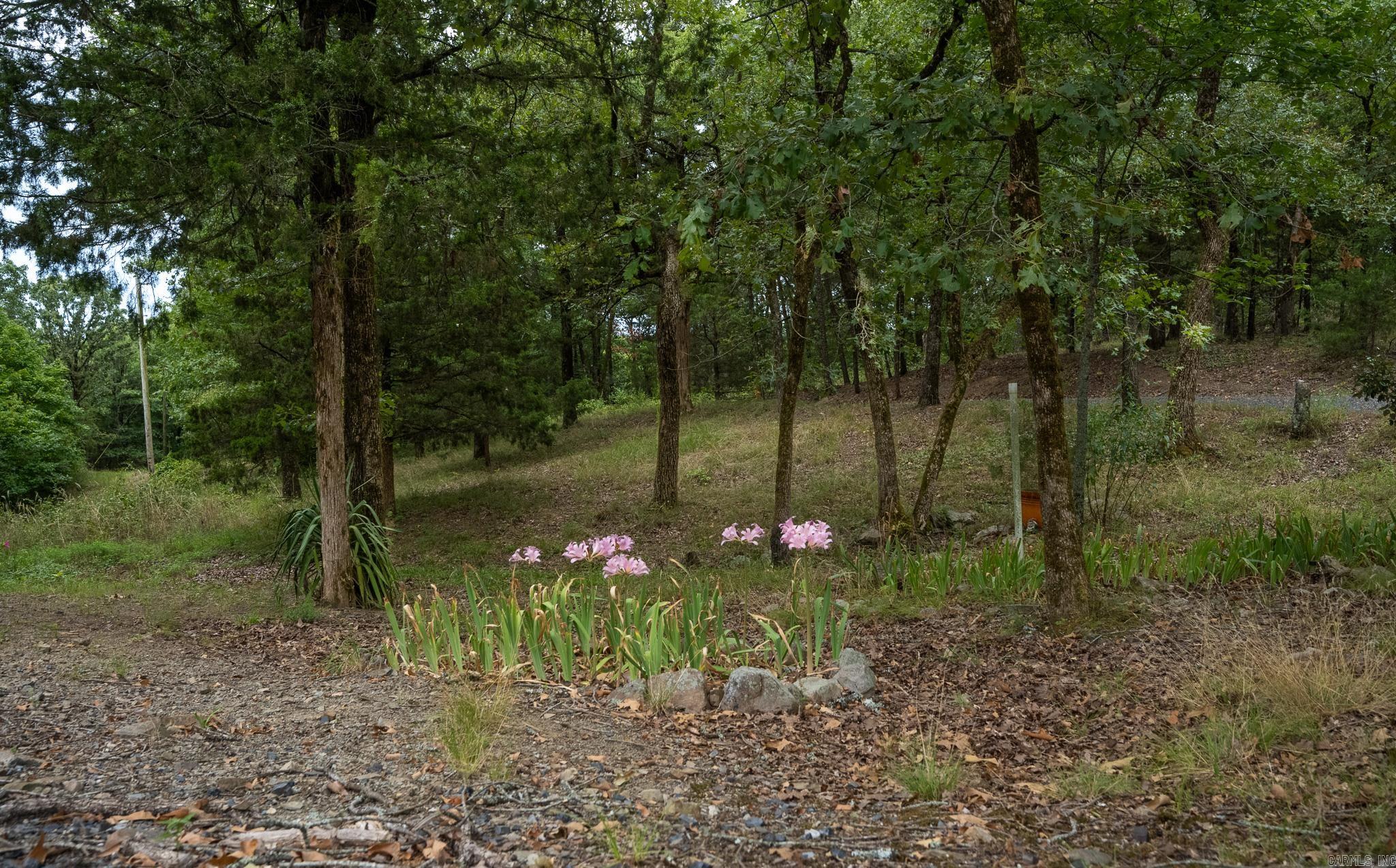 4166 8 West Highway Property Photo 38