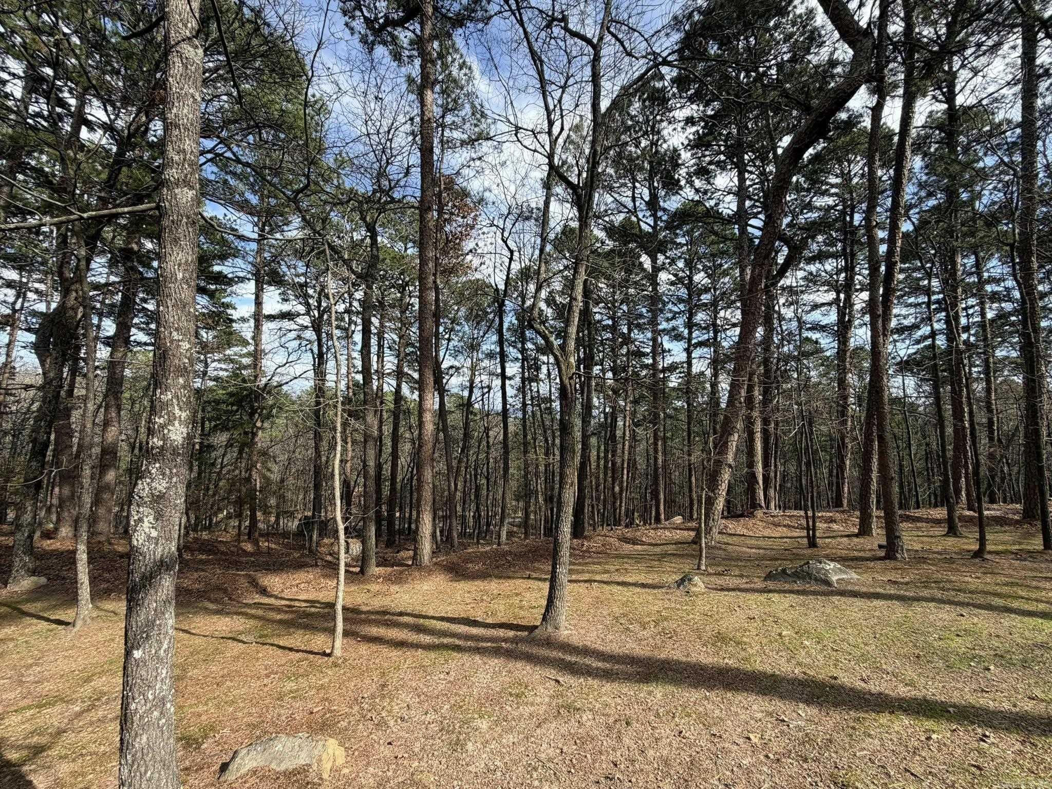 142 Glenwood Property Photo 36