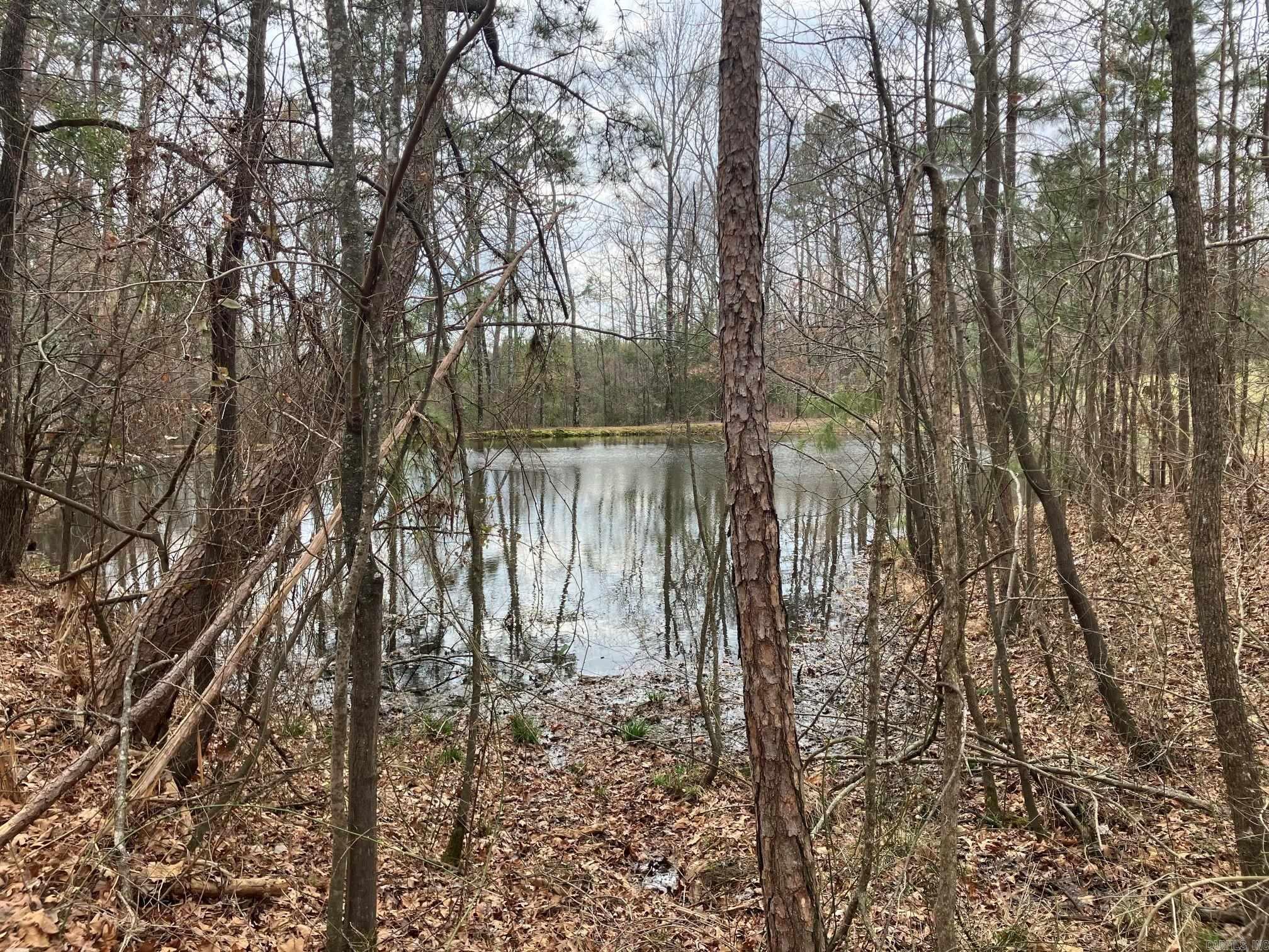 137 Rolling Fork Dr Drive Property Photo 40