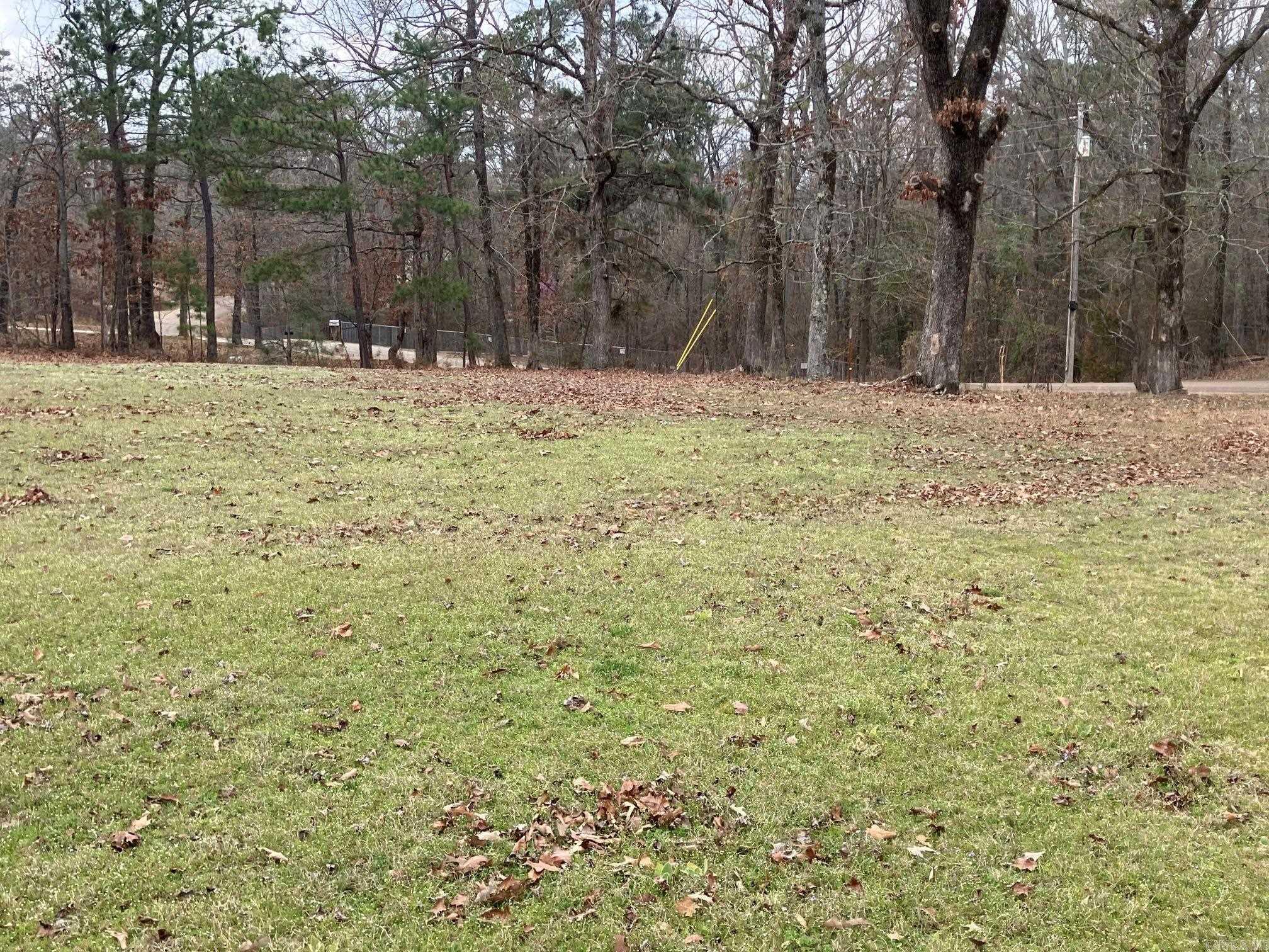 137 Rolling Fork Dr Drive Property Photo 43