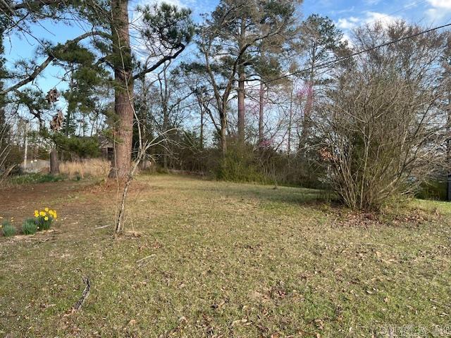 100 Morphew Road Property Photo 20