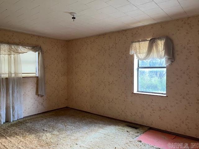 100 Morphew Road Property Photo 30