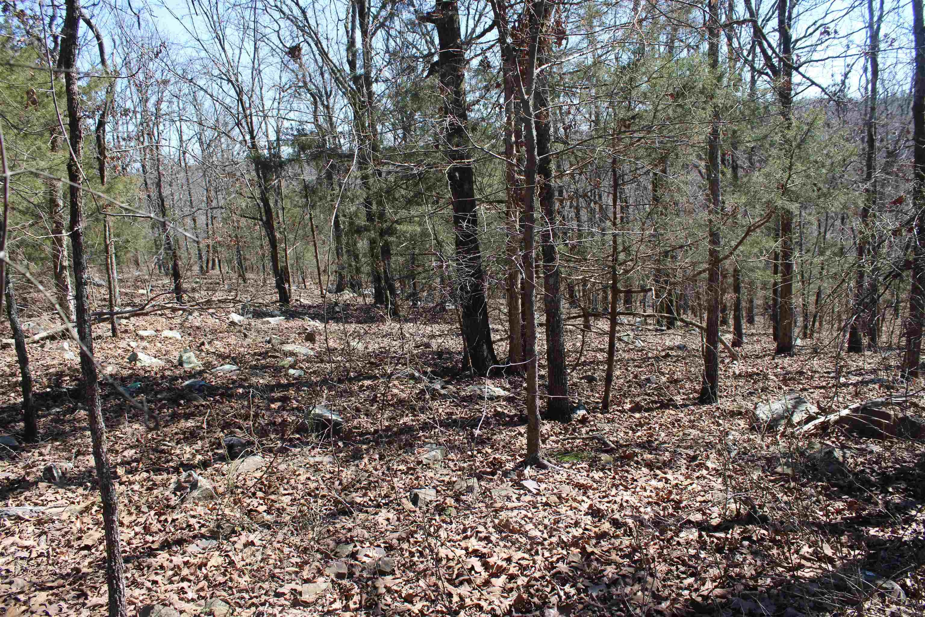 Lot 19 Kelly Court Property Photo 11