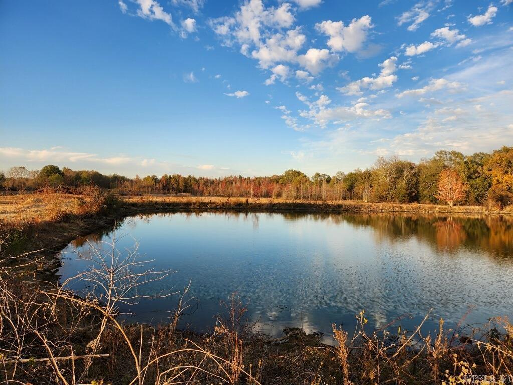 21.69 Acres Lee County Property Photo 1