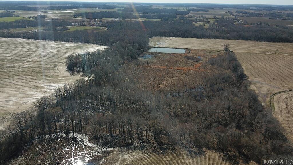21.69 Acres Lee County Property Photo 4