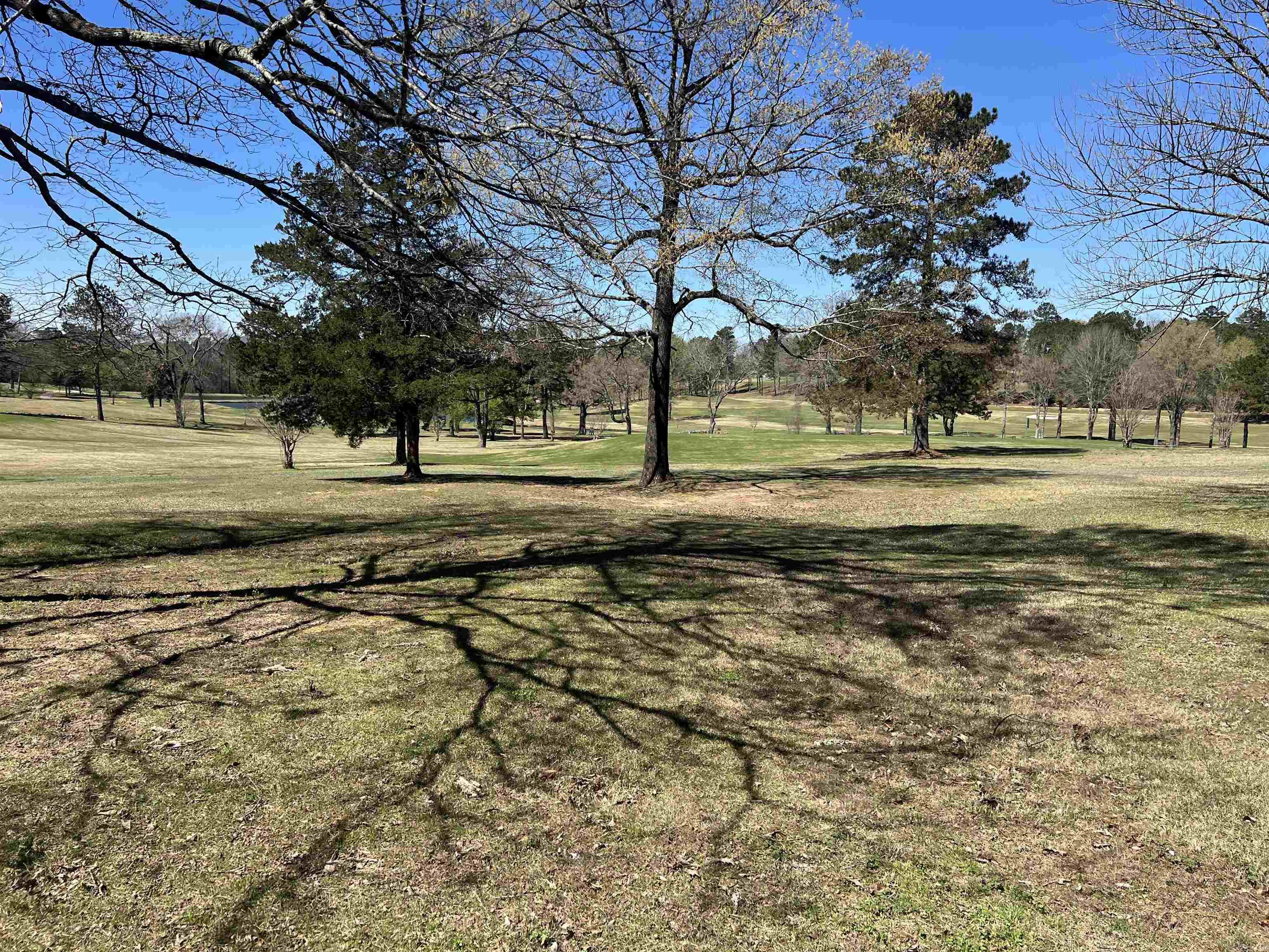 65 Golf Course Property Photo 7