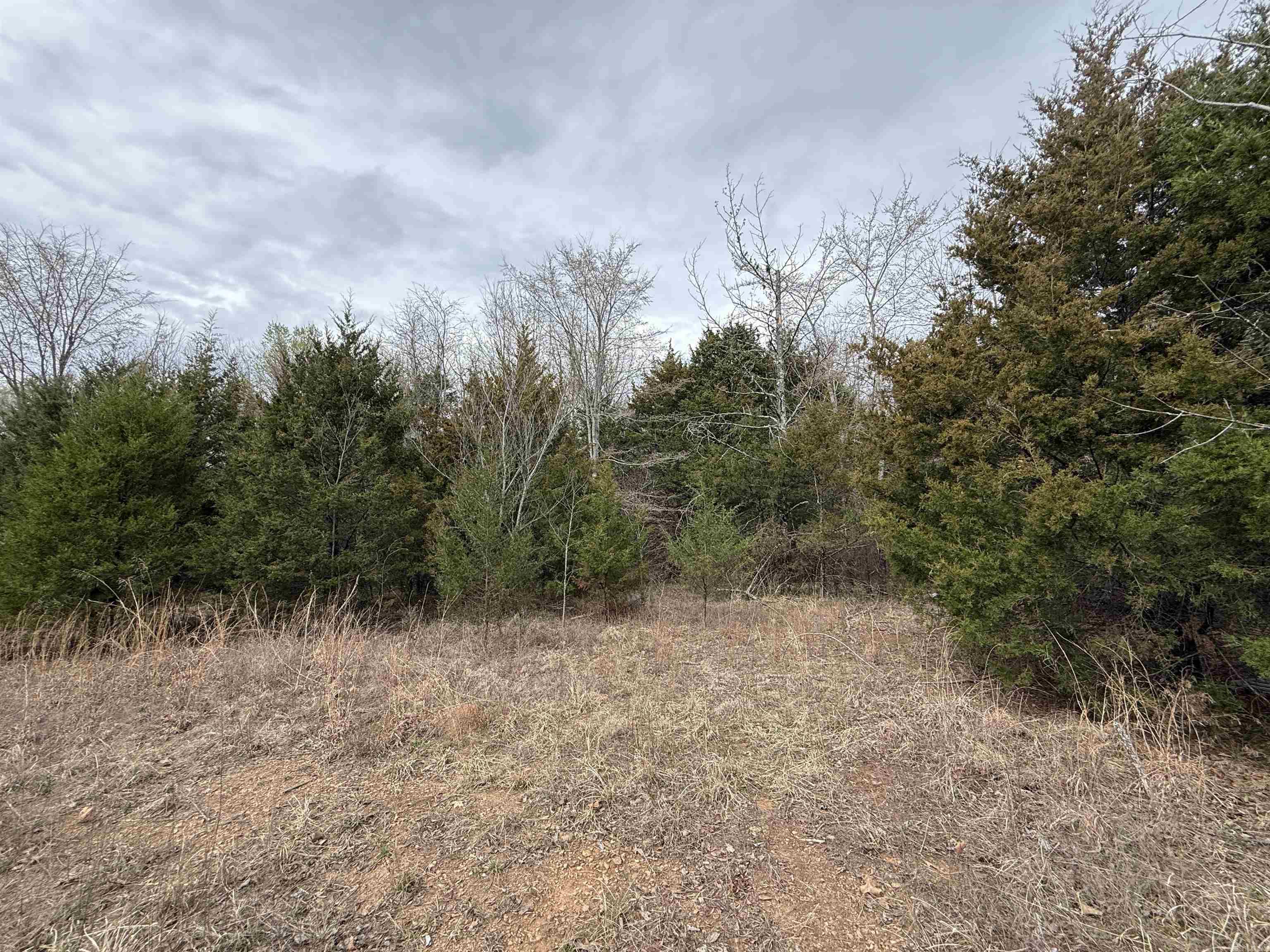 Tbd Furniture Rd Property Photo 11