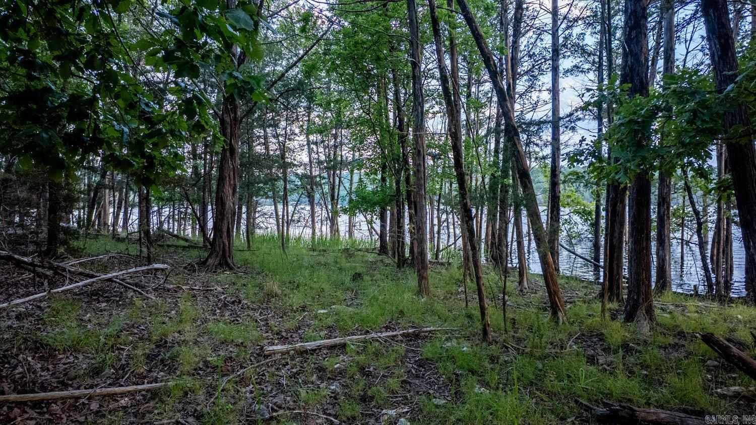 499 Noe Creek Road Property Photo 49