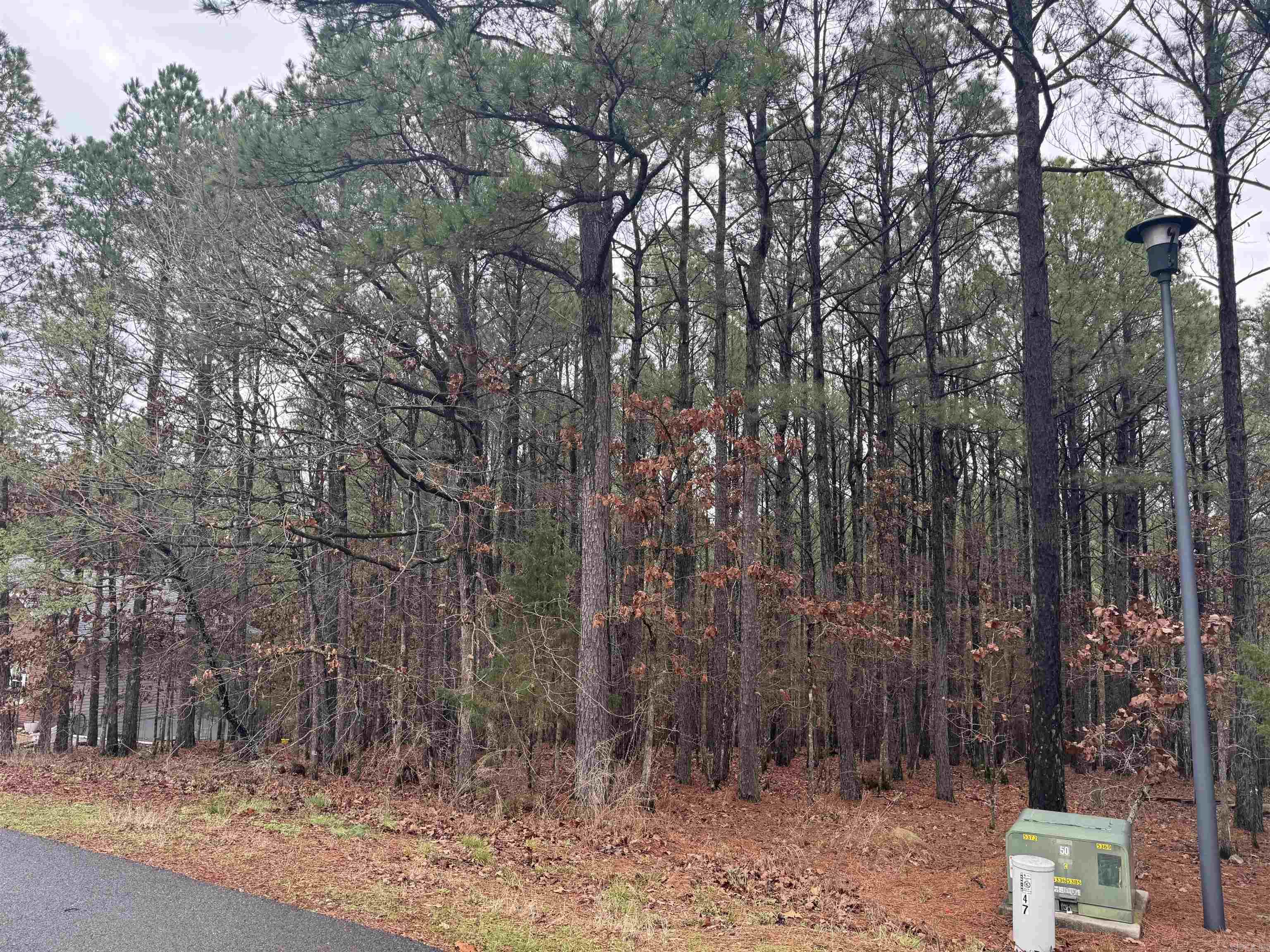 45 Largo Drive Property Photo 3