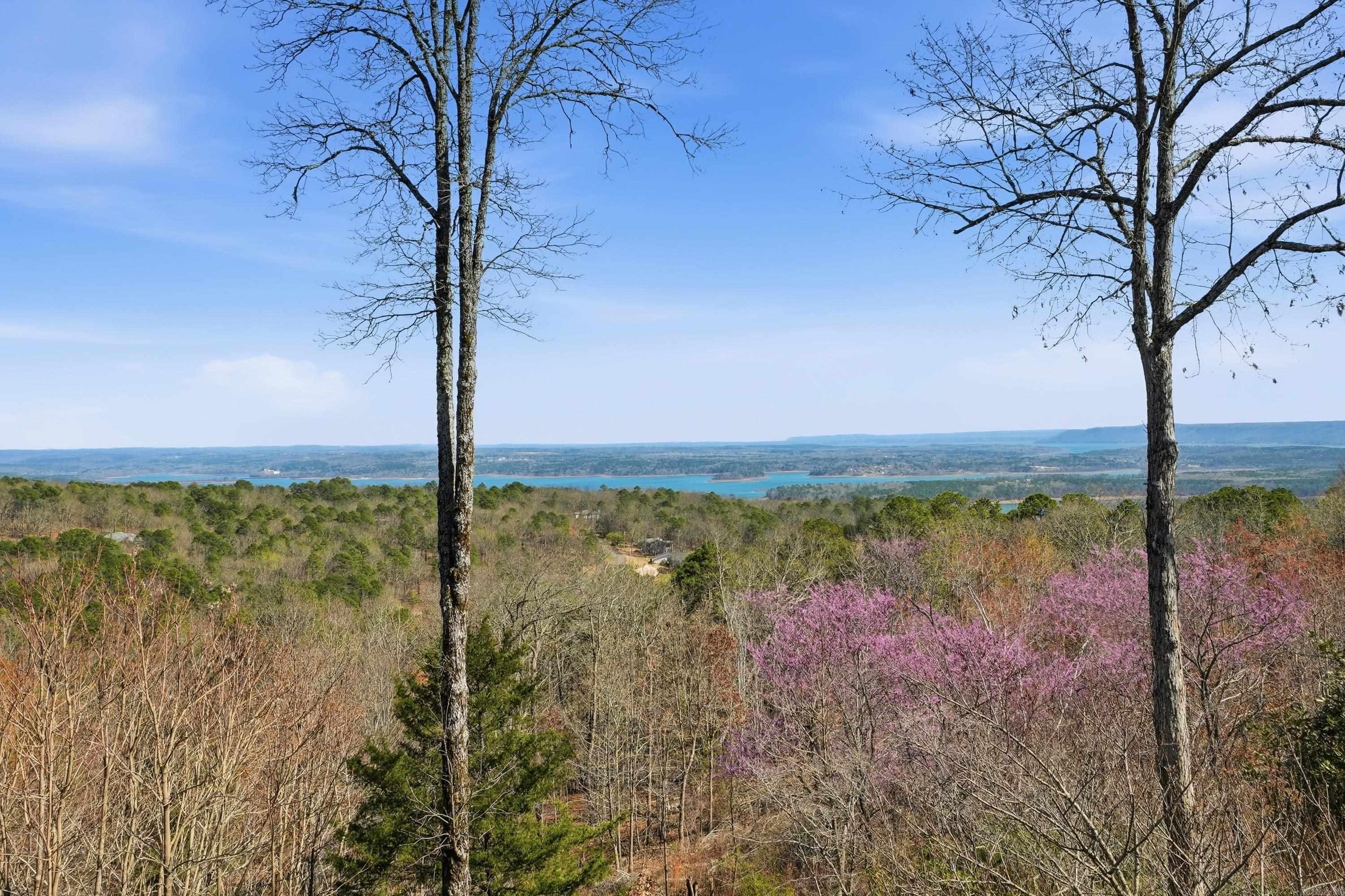 265 Pine Hill Road Property Photo 42