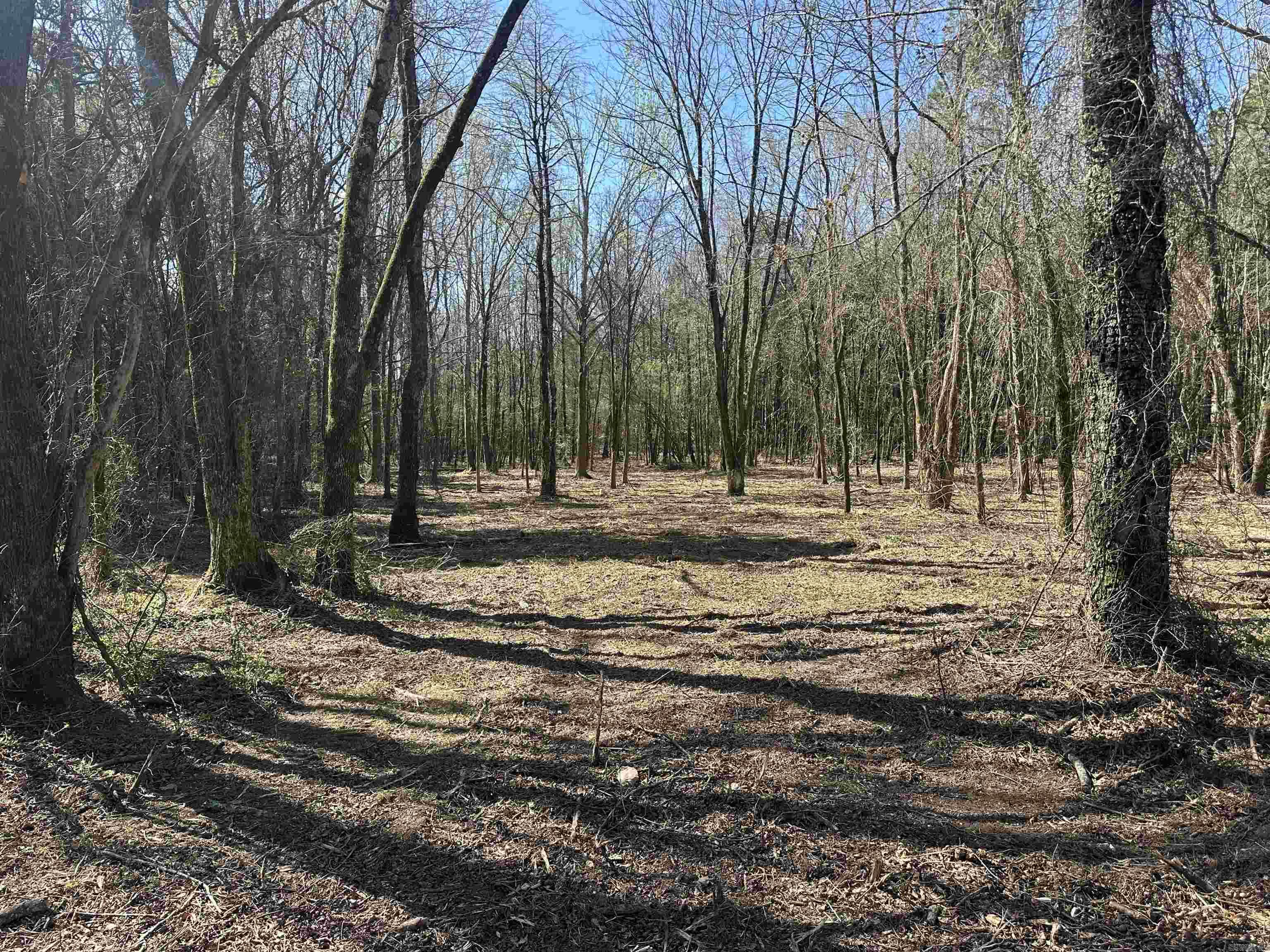 Lots 80,81,234 Cliff Road Property Photo 3