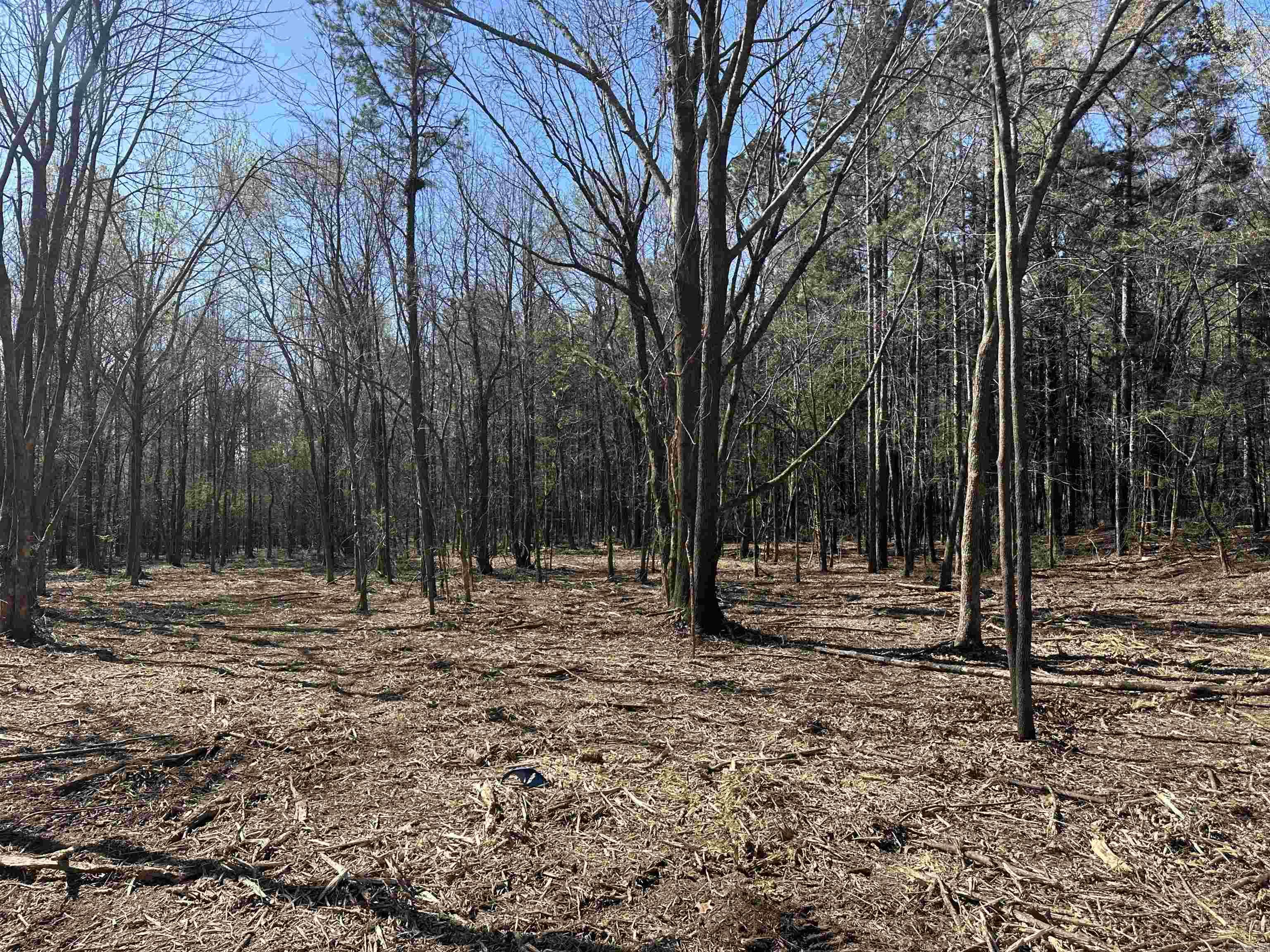 Lots 80,81,234 Cliff Road Property Photo 4