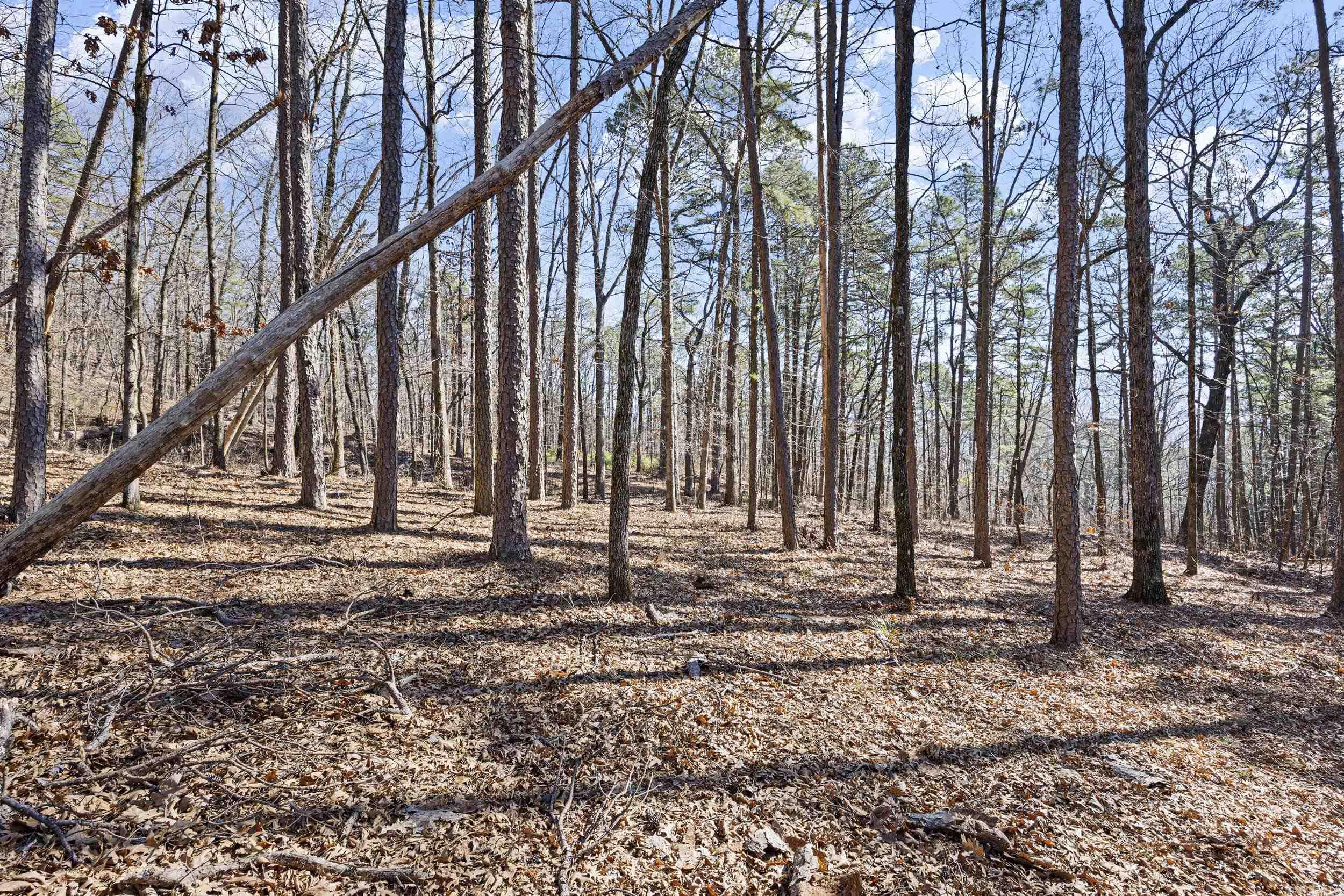 Pool Hollow Road Property Photo 14