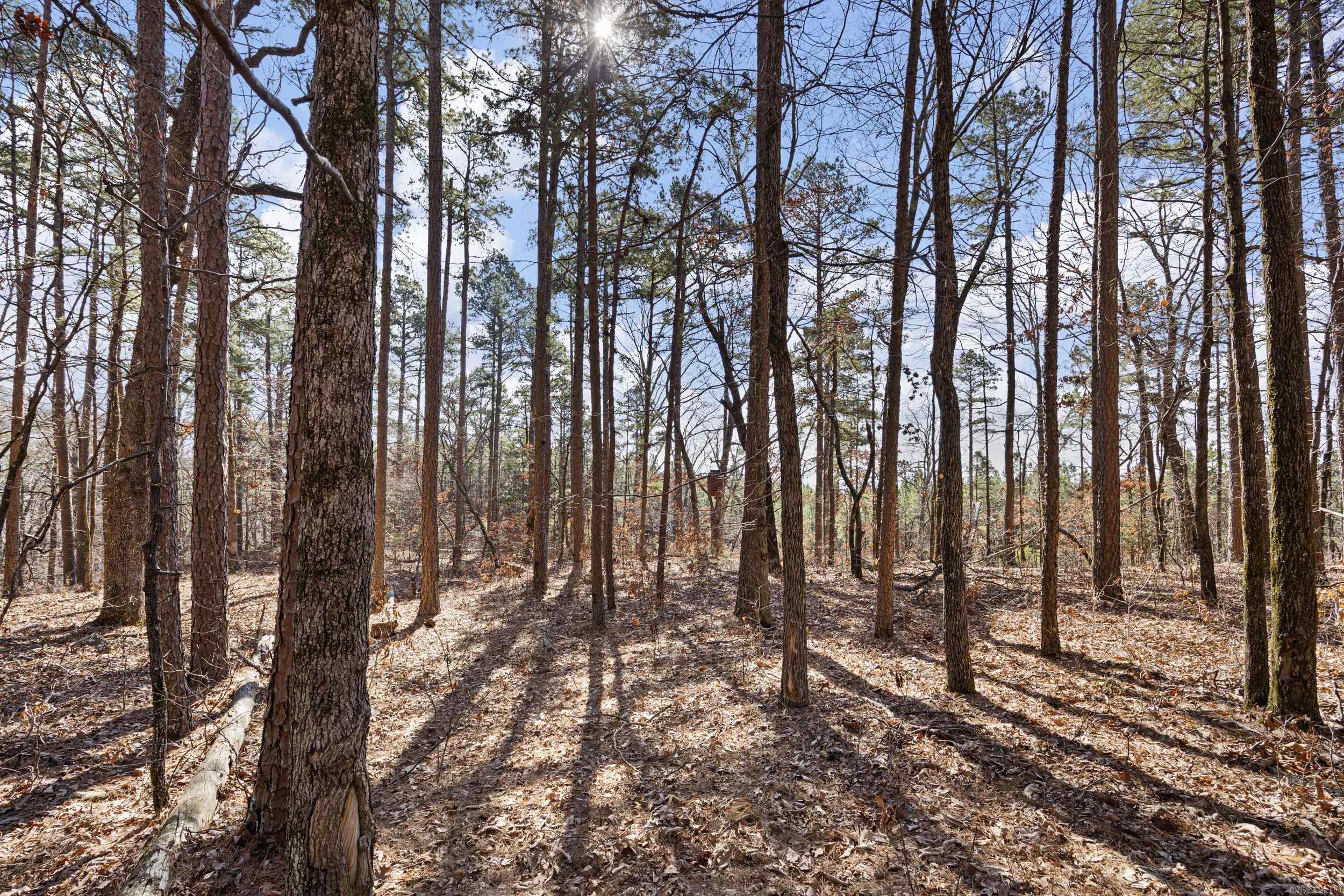 Pool Hollow Road Property Photo 15
