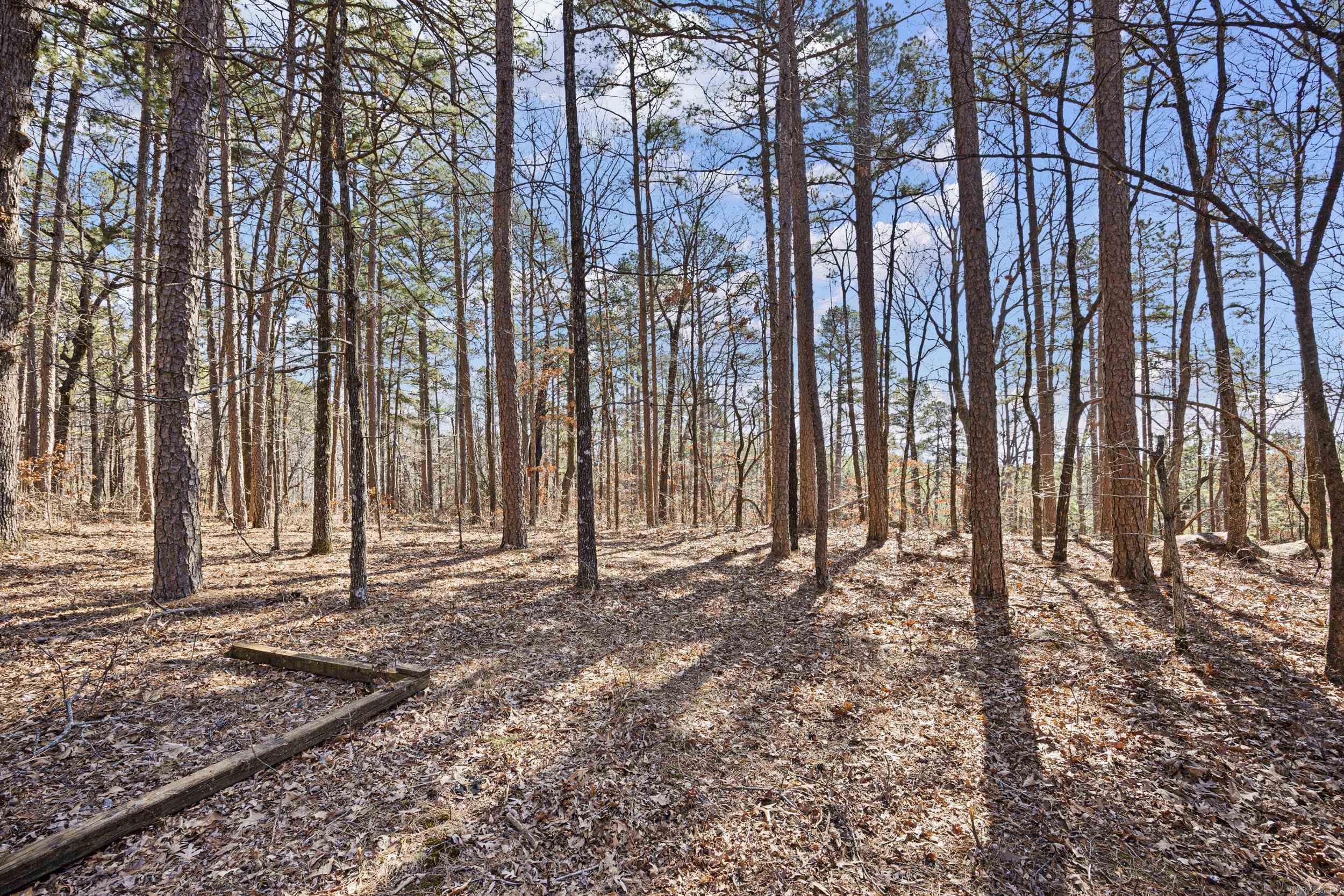 Pool Hollow Road Property Photo 16