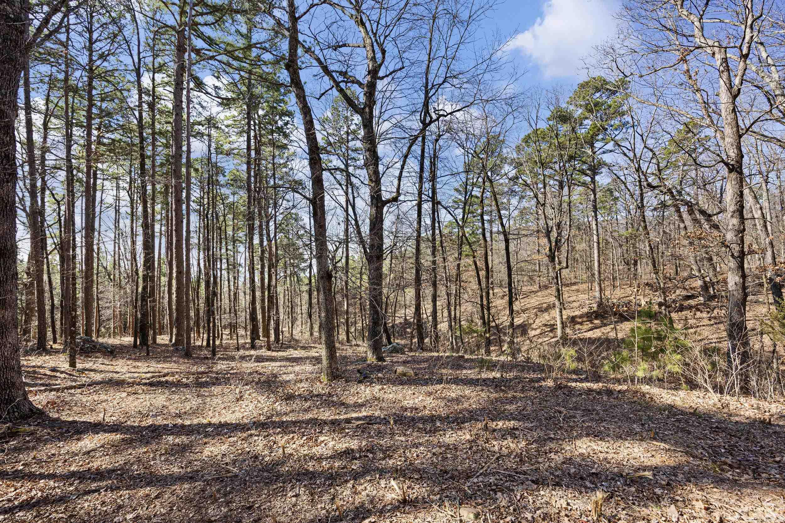 Pool Hollow Road Property Photo 17