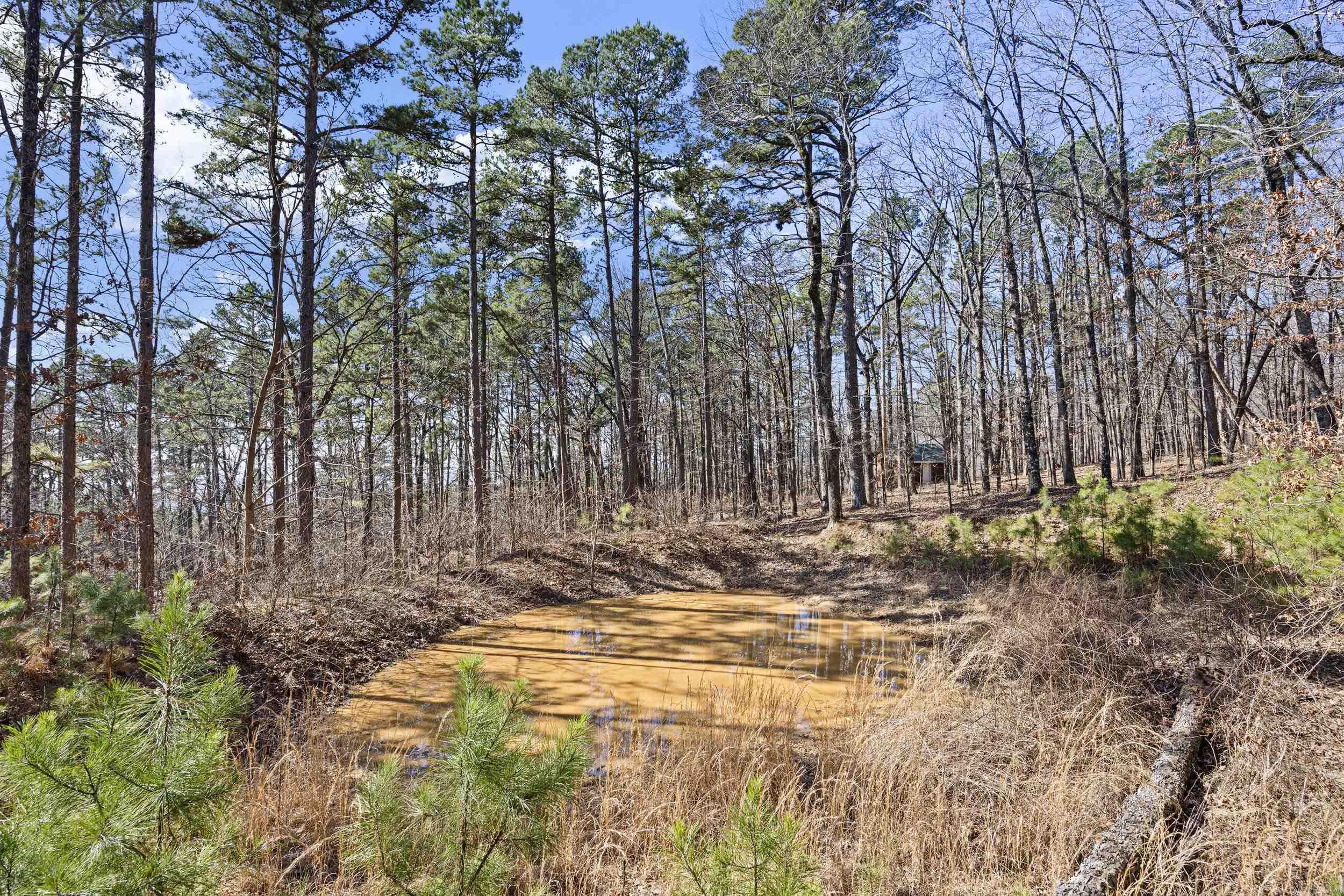 Pool Hollow Road Property Photo 18