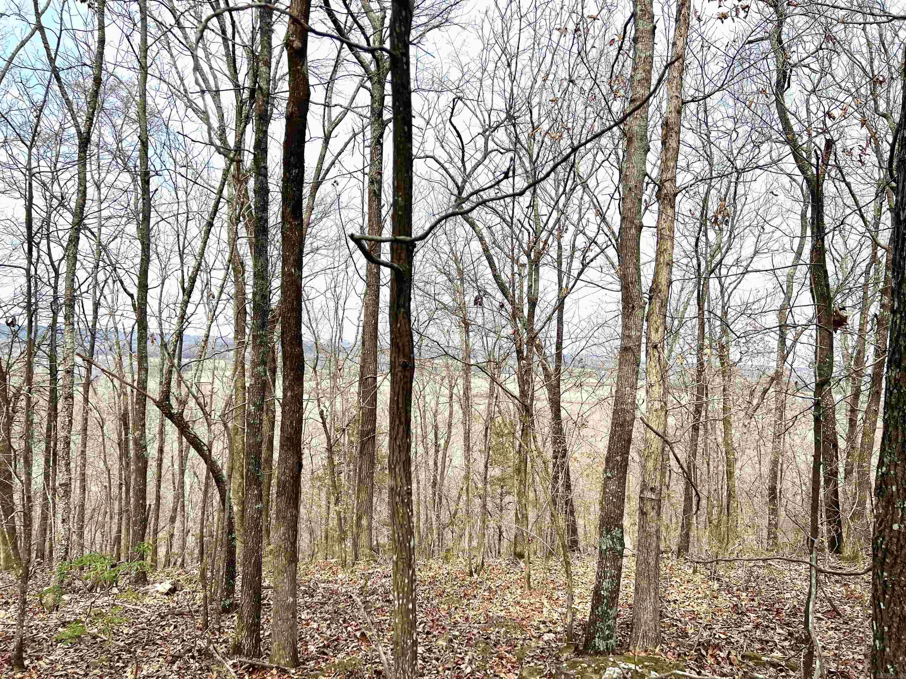 36 (approx) Bayou Road Property Photo 16