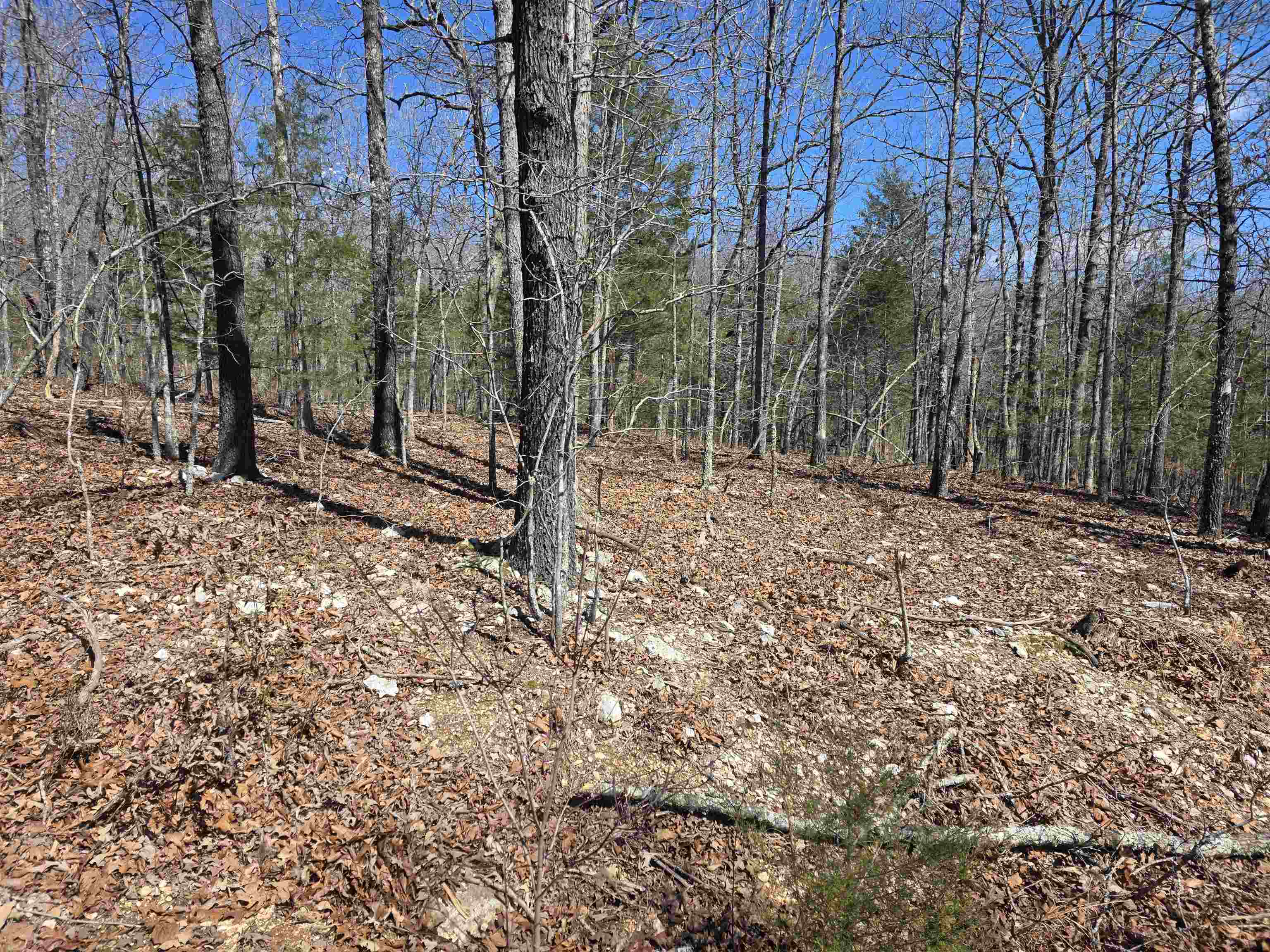 L28 B3 Gheetowaga Drive Property Photo 4