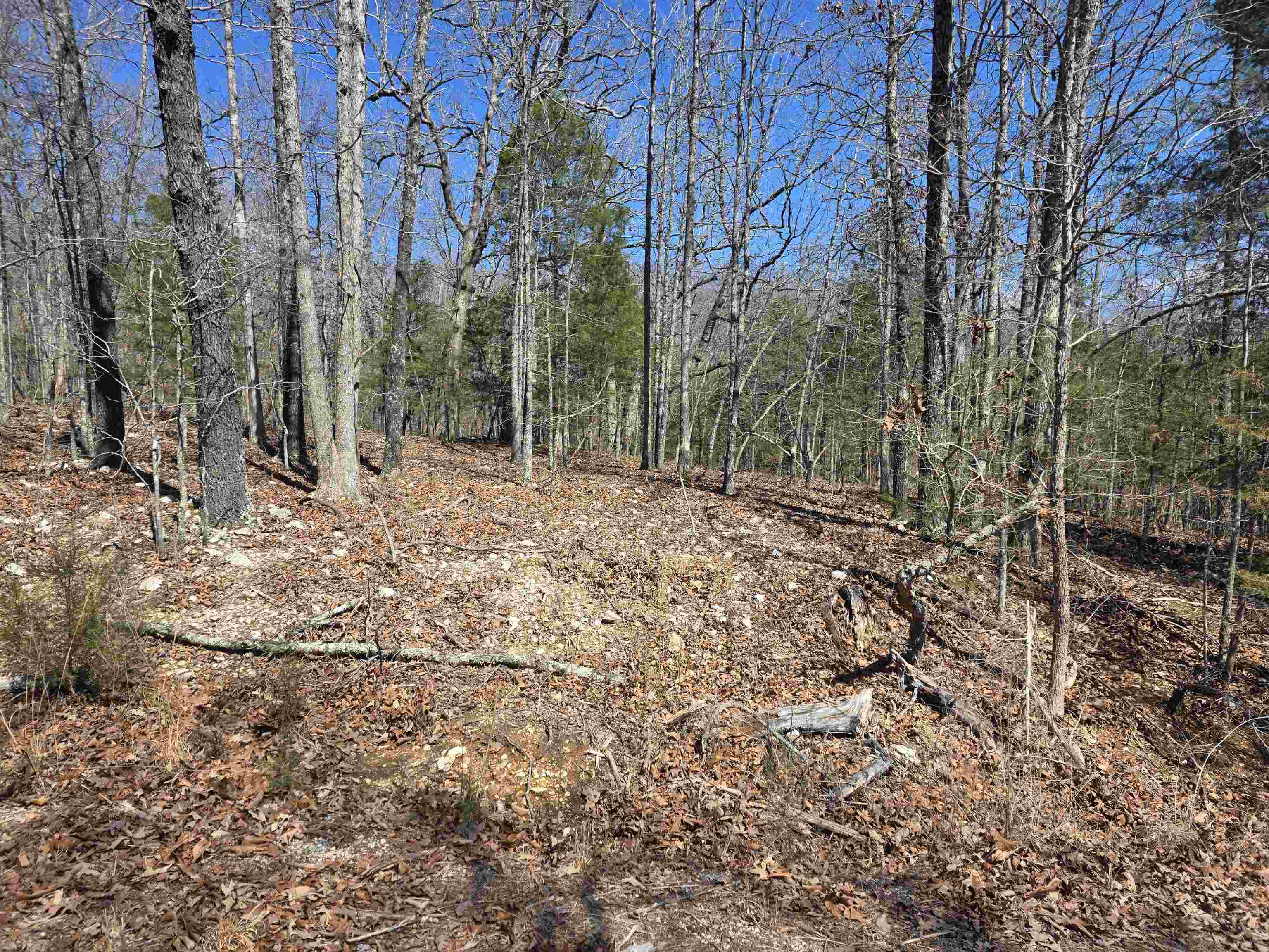 L28 B3 Gheetowaga Drive Property Photo 8