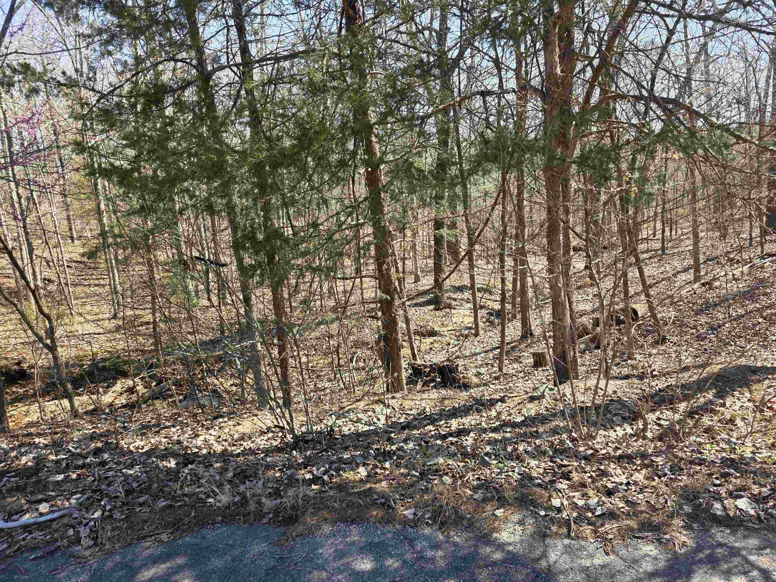L16 B8 Lochloosa Drive Property Photo 10