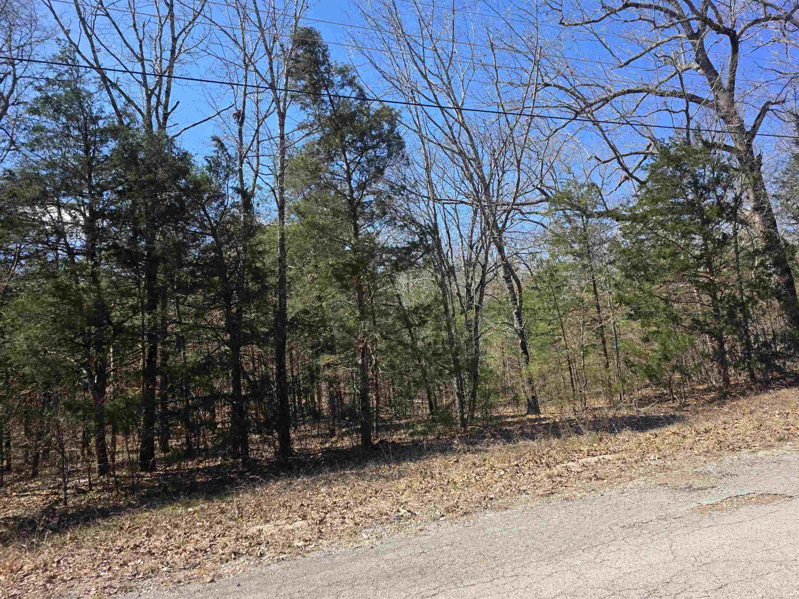 L30 B19 Katta Drive Property Photo 5