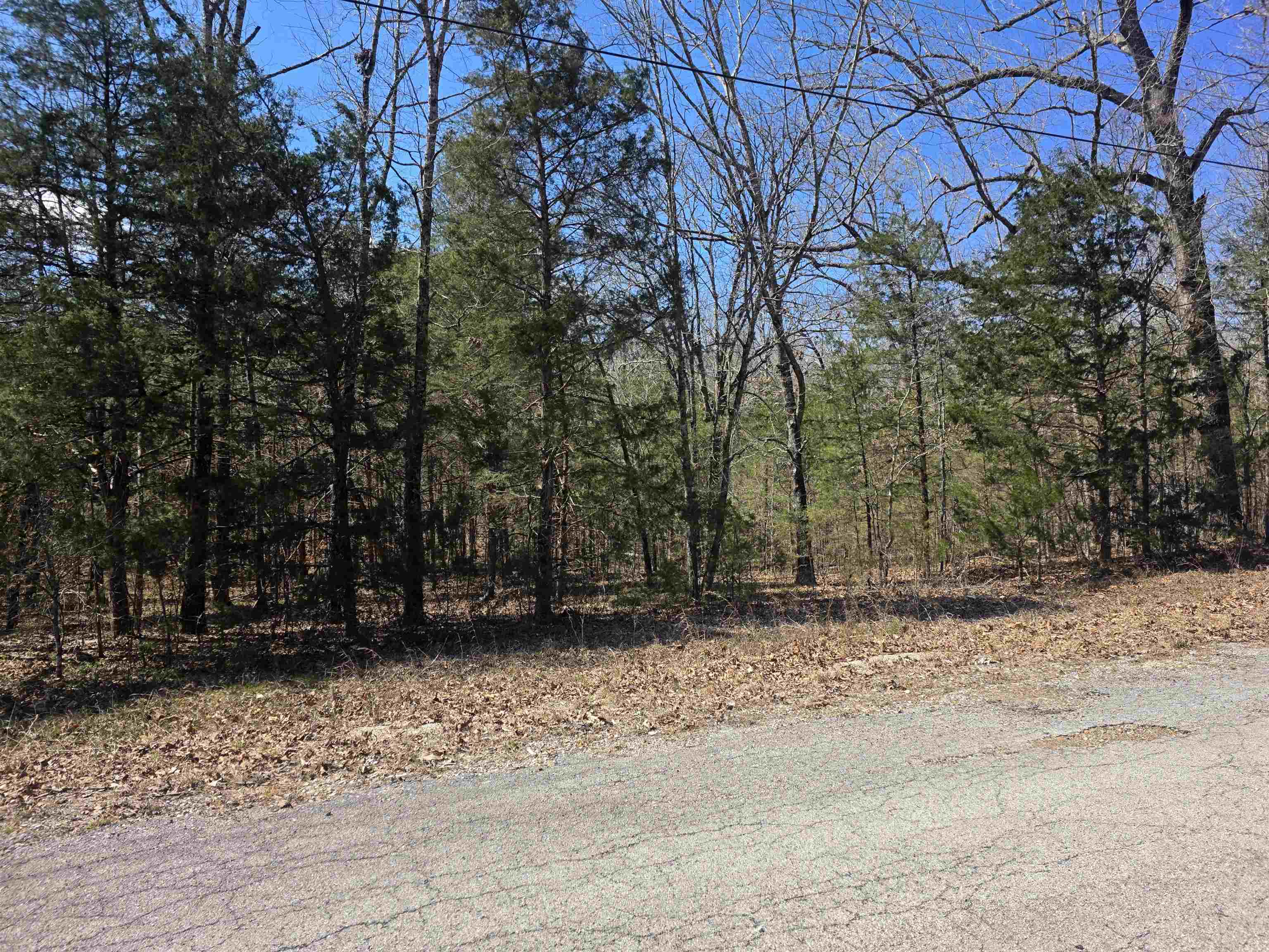 L30 B19 Katta Drive Property Photo 6