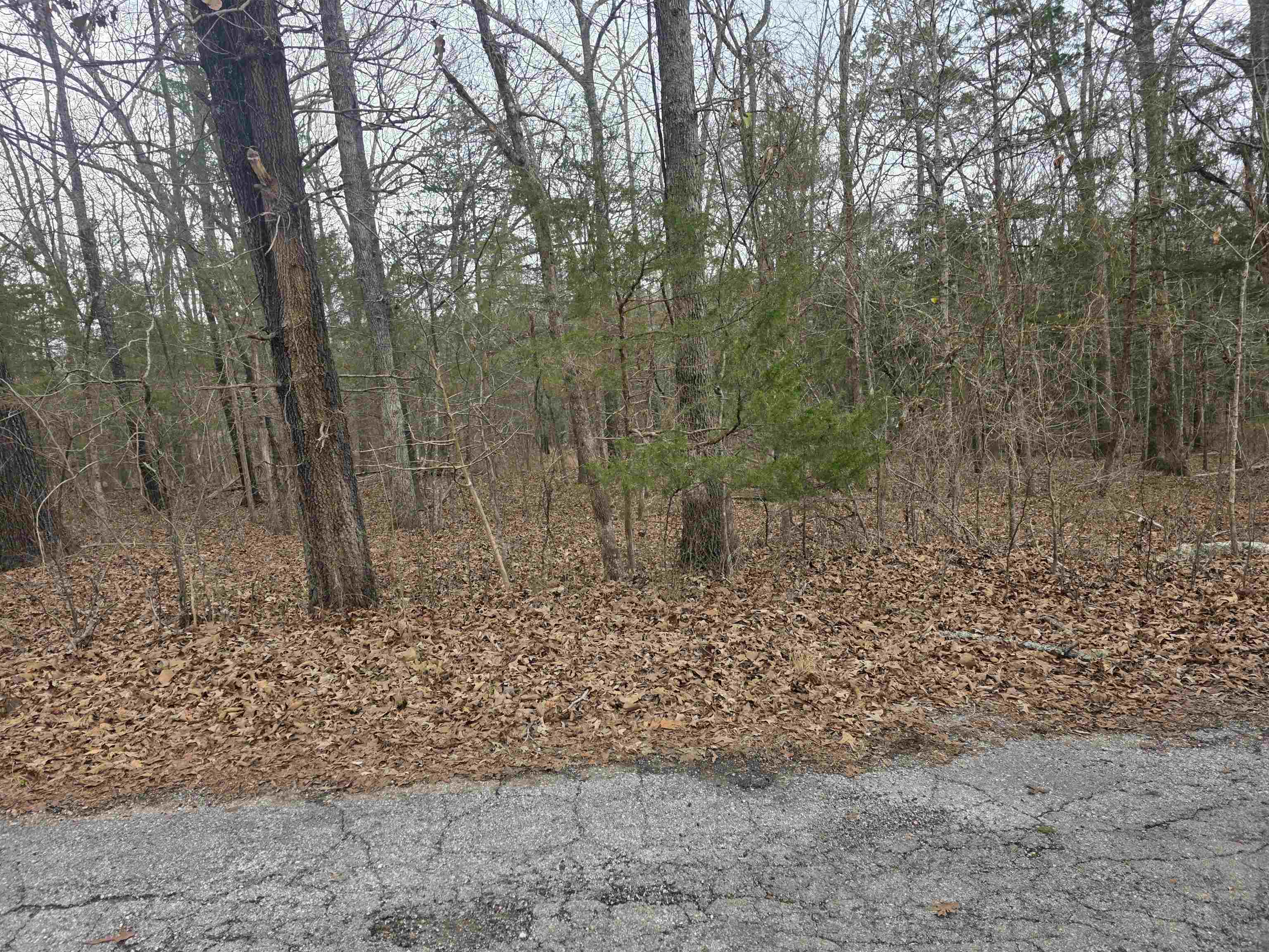 L19 B6 Big Horn Drive Property Photo 4
