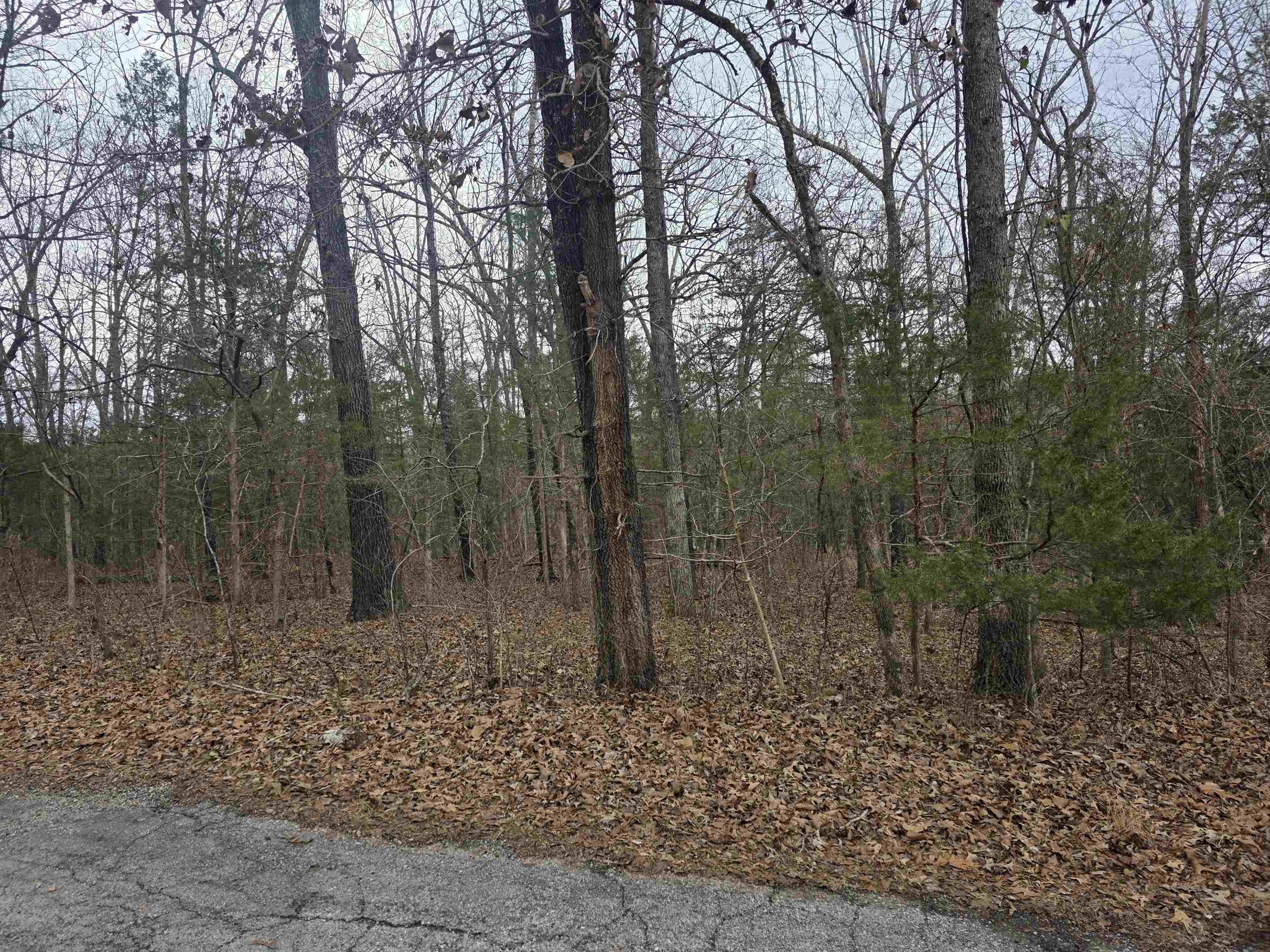 L19 B6 Big Horn Drive Property Photo 5