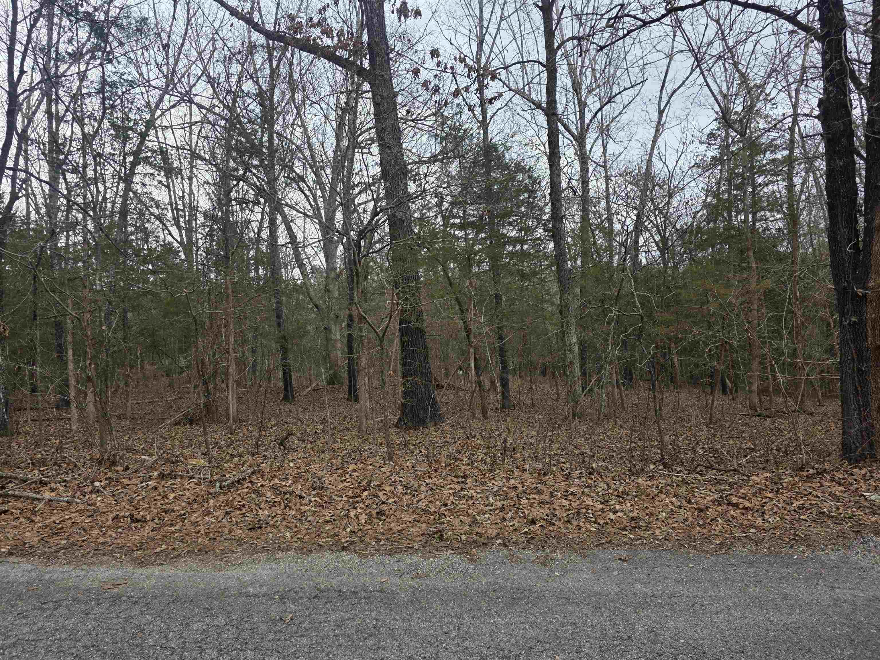 L19 B6 Big Horn Drive Property Photo 6