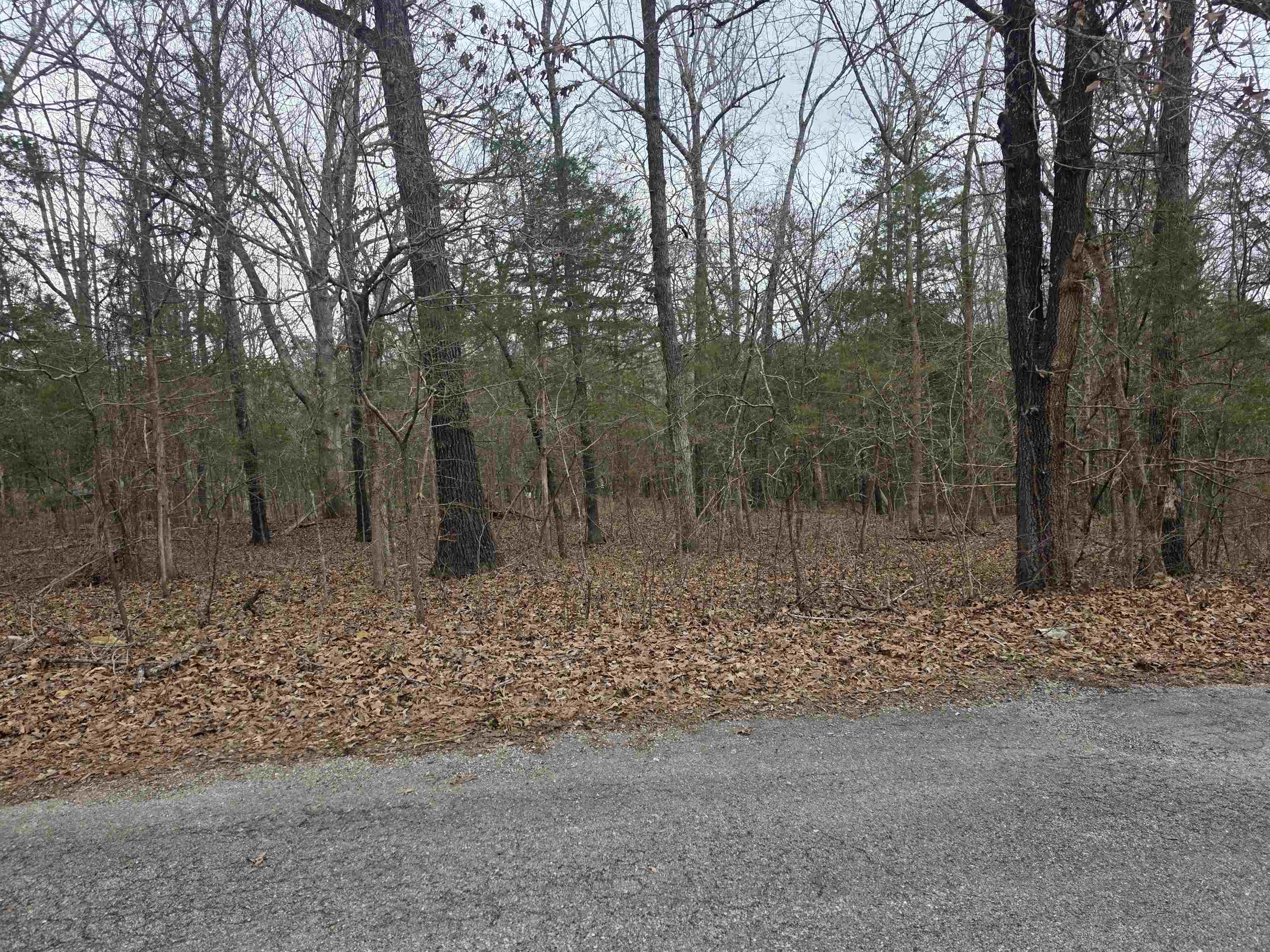 L19 B6 Big Horn Drive Property Photo 7