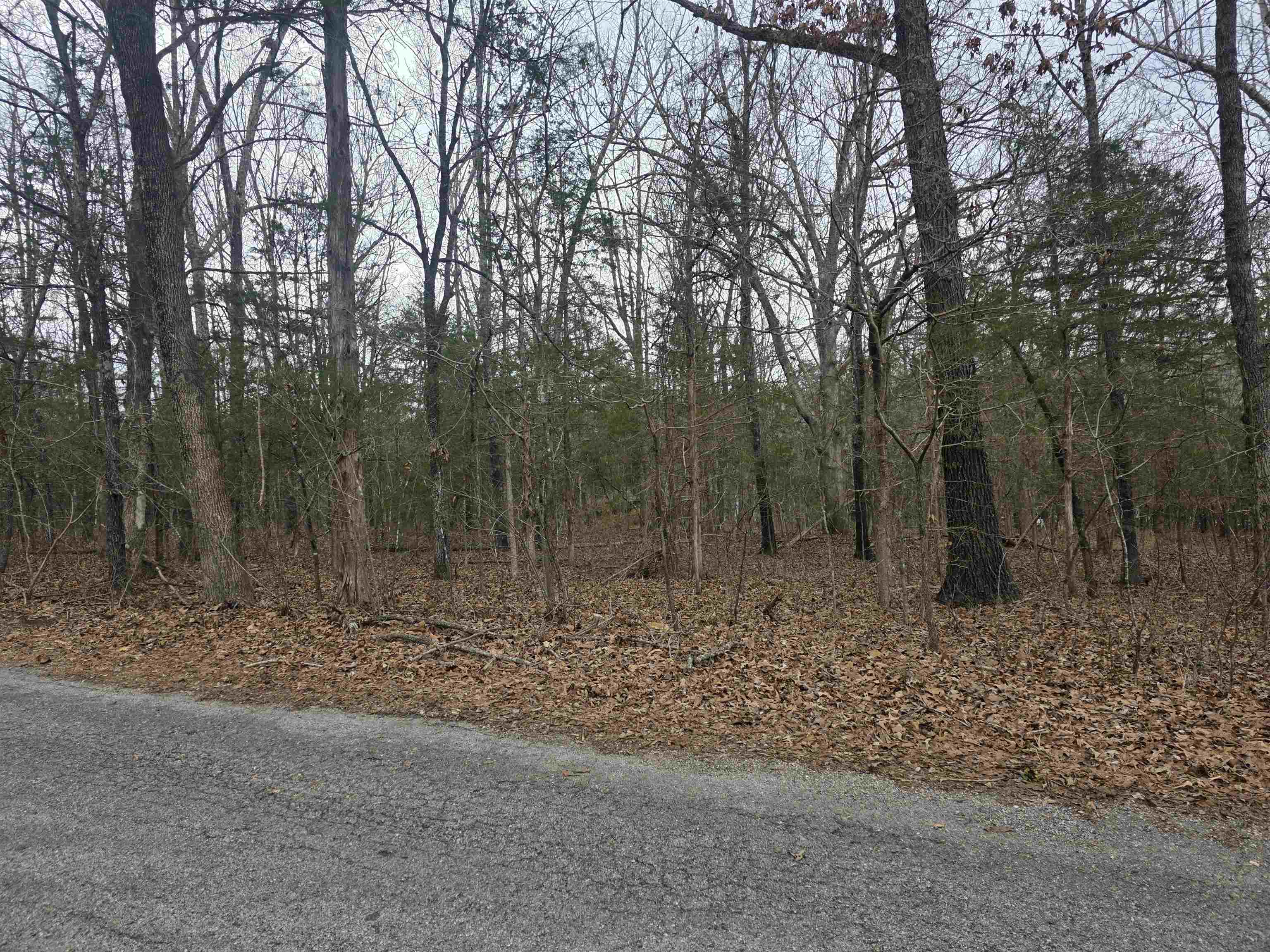 L19 B6 Big Horn Drive Property Photo 8