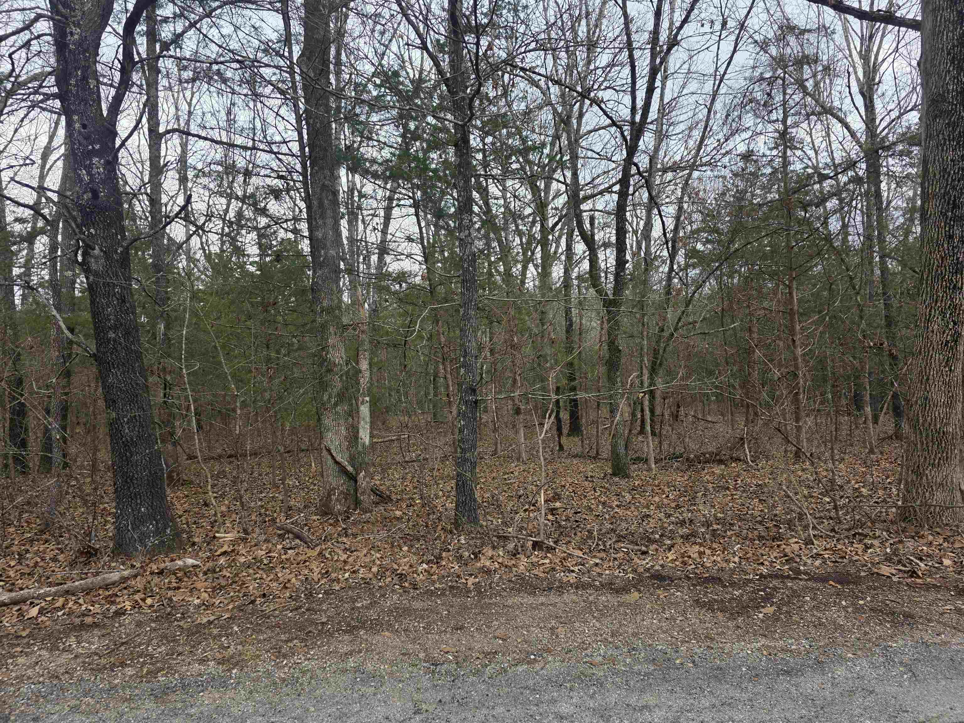L19 B6 Big Horn Drive Property Photo 9