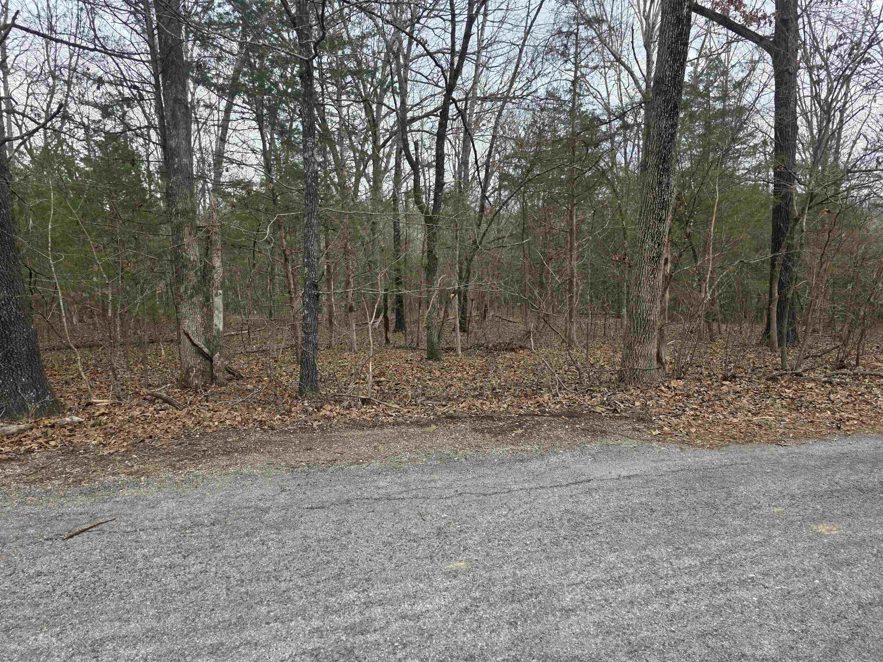 L19 B6 Big Horn Drive Property Photo 10