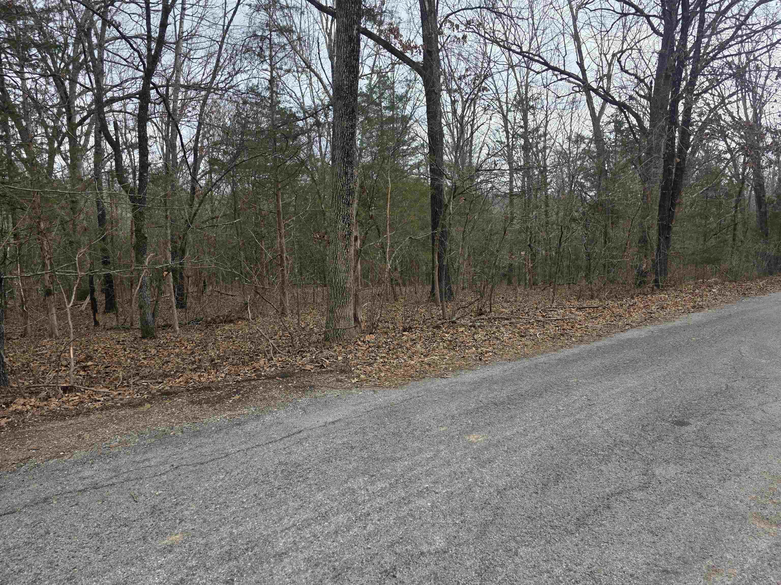 L19 B6 Big Horn Drive Property Photo 11