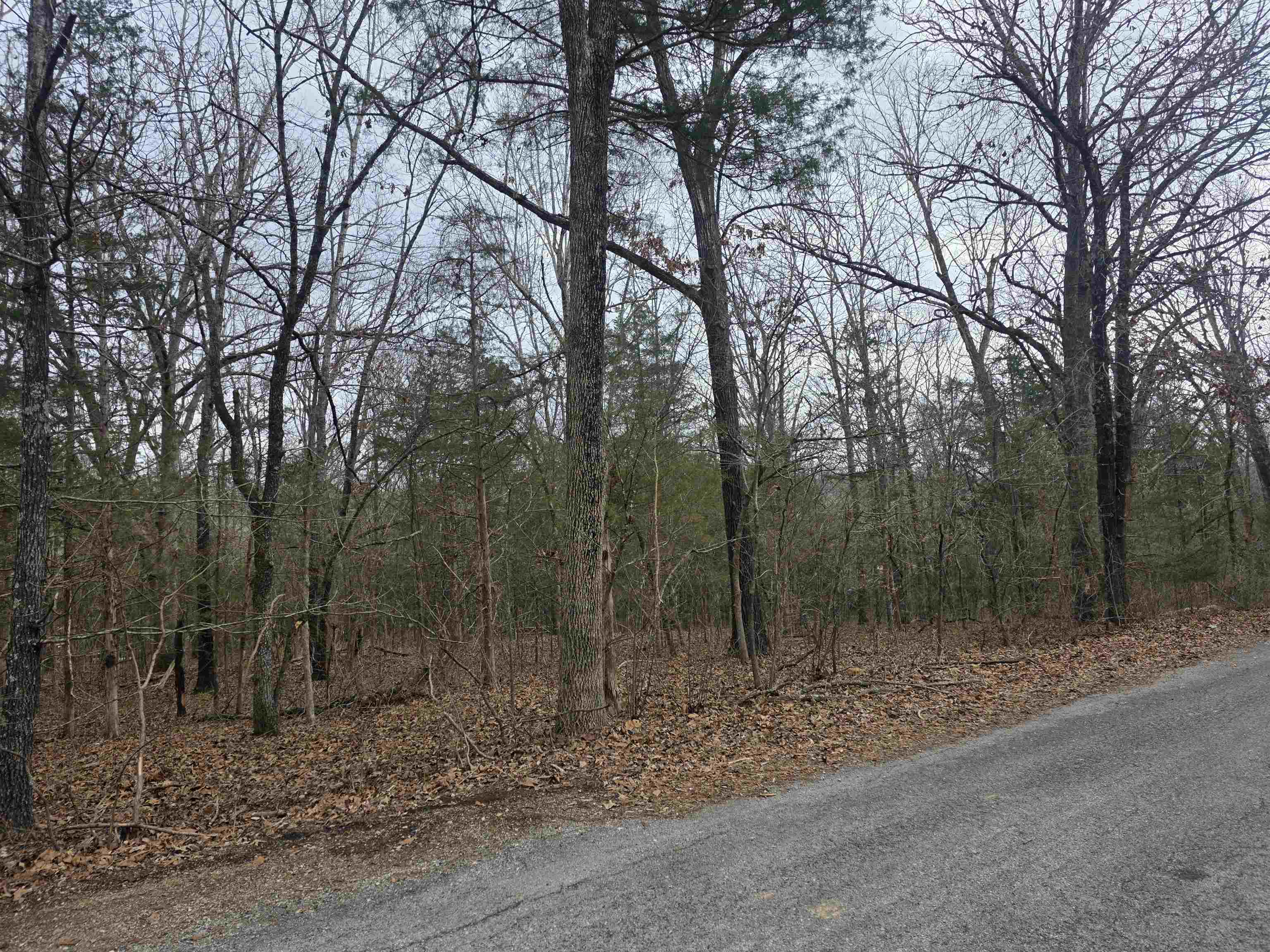L19 B6 Big Horn Drive Property Photo 13