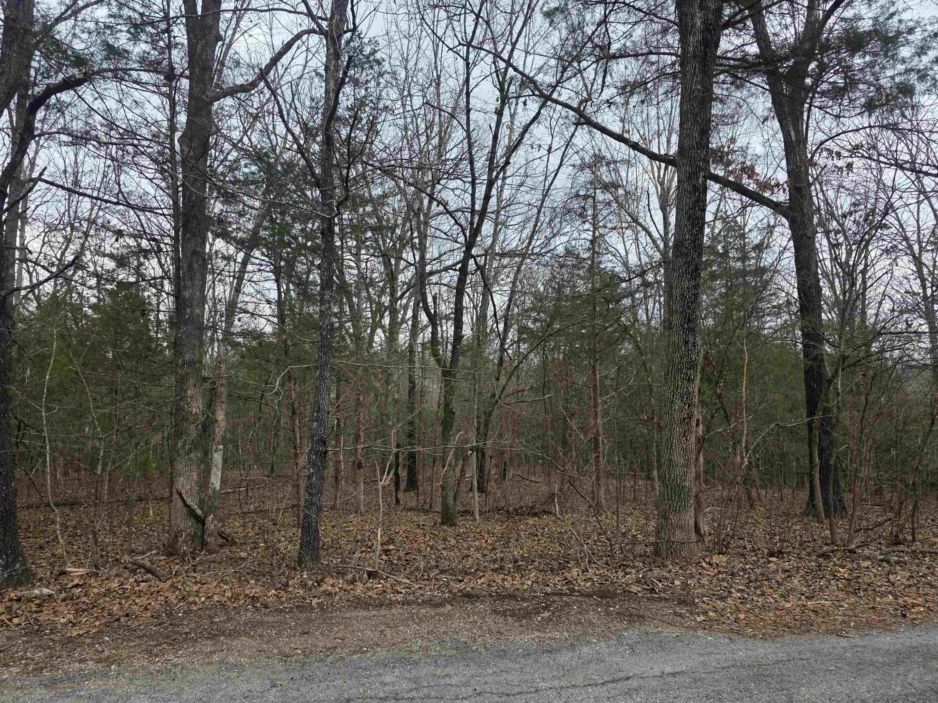 L19 B6 Big Horn Drive Property Photo 14