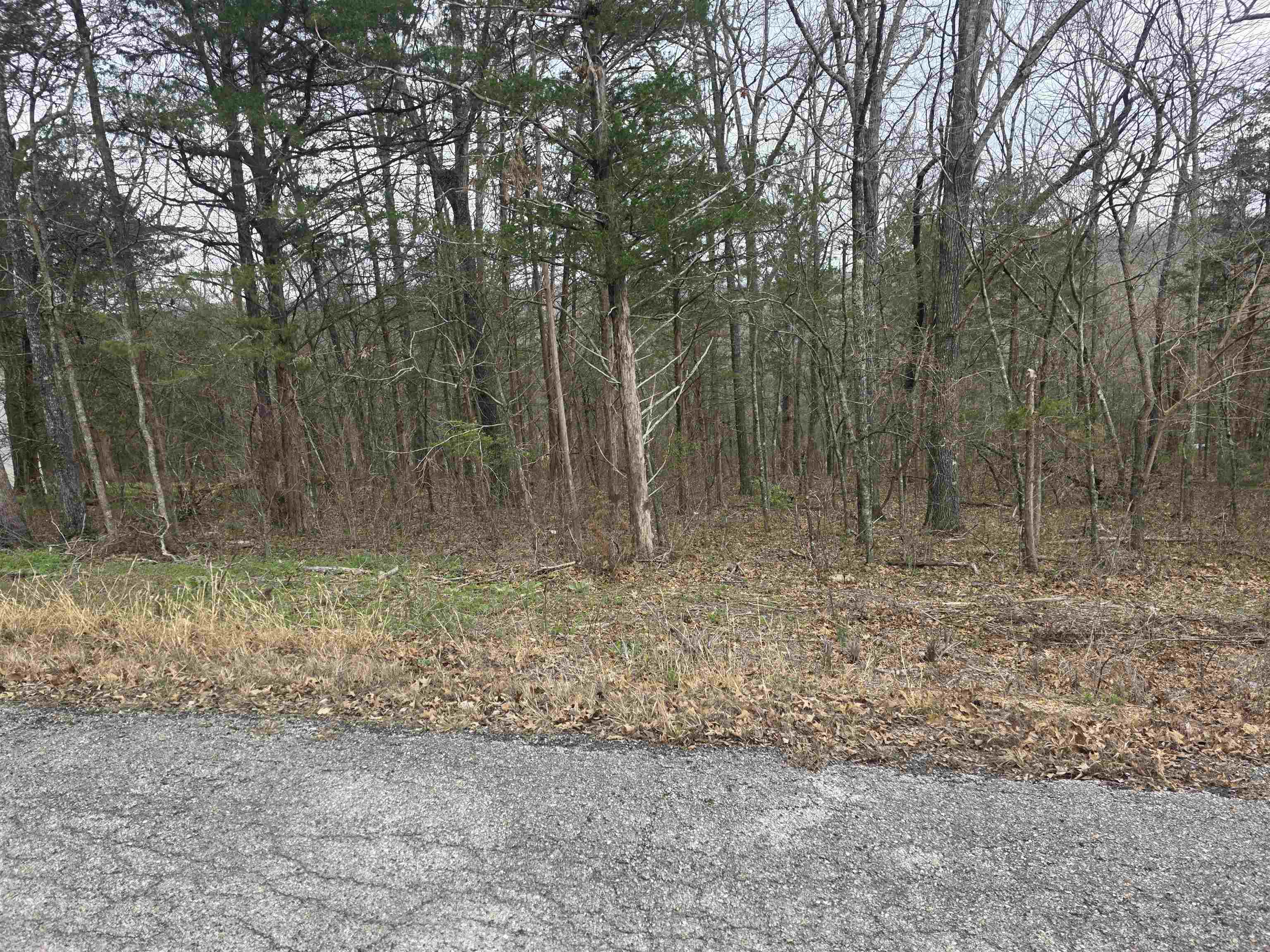 L9 B3 Mineola Drive Property Photo 2
