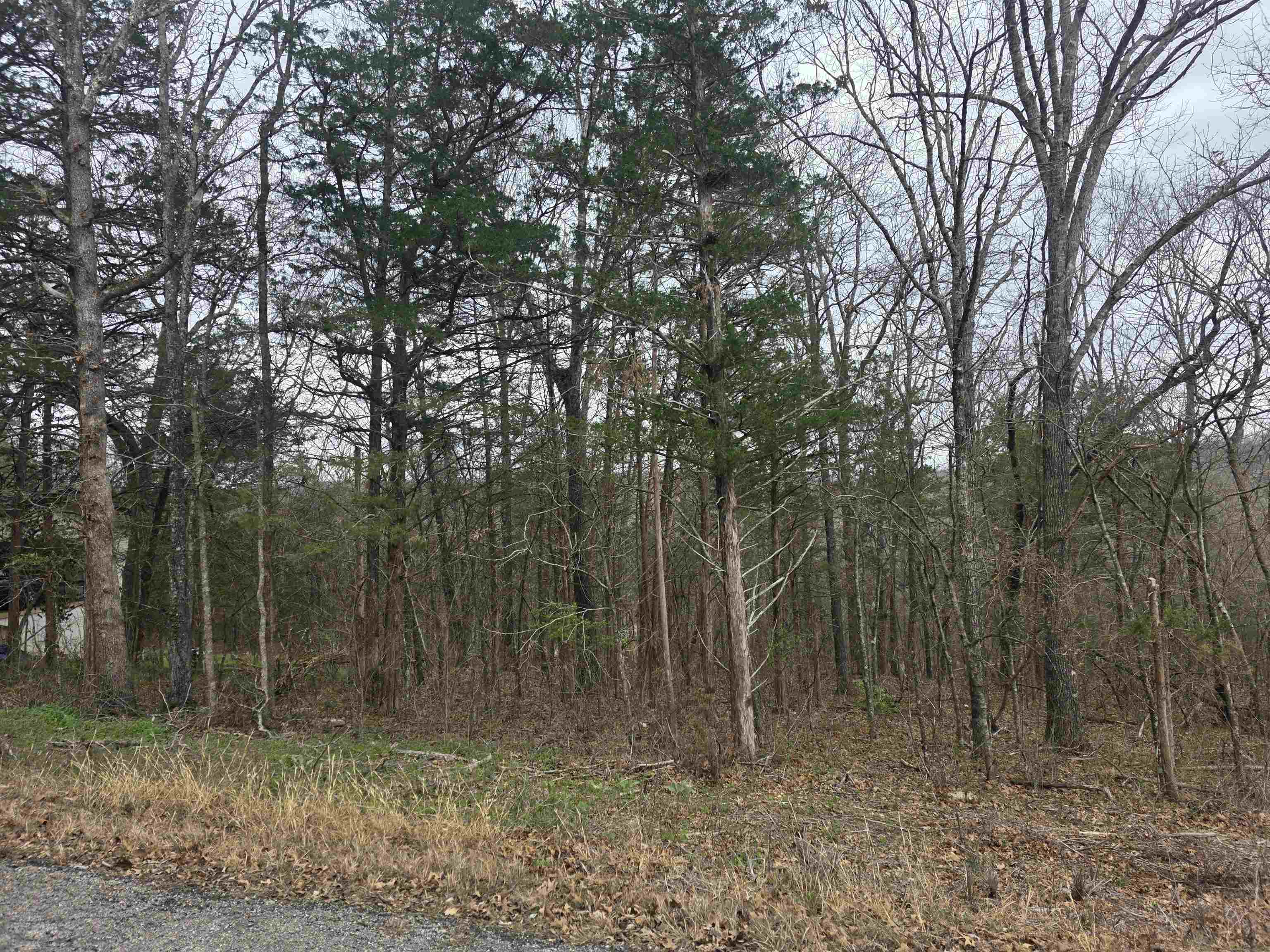 L9 B3 Mineola Drive Property Photo 3