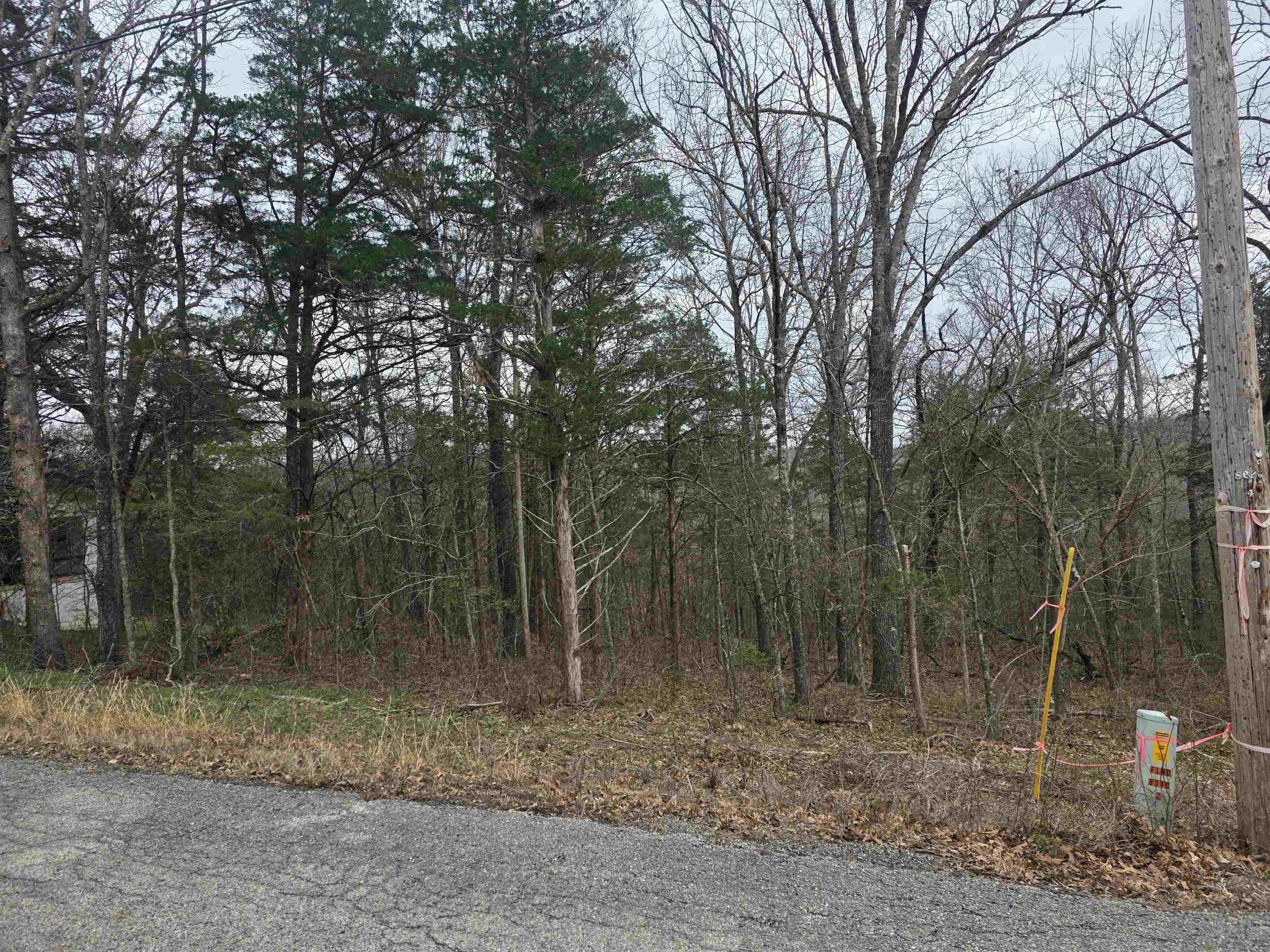 L9 B3 Mineola Drive Property Photo 4