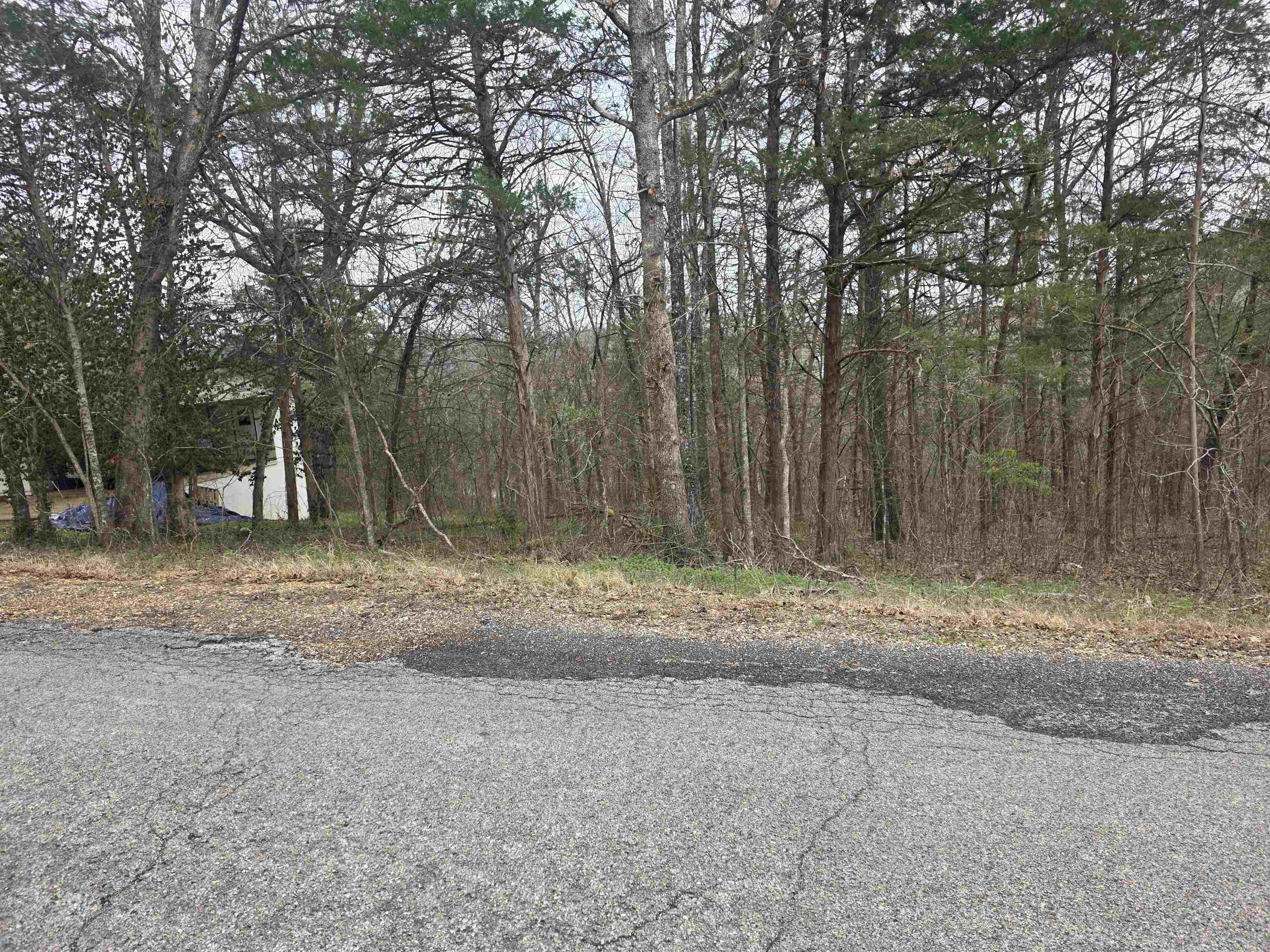 L9 B3 Mineola Drive Property Photo 6