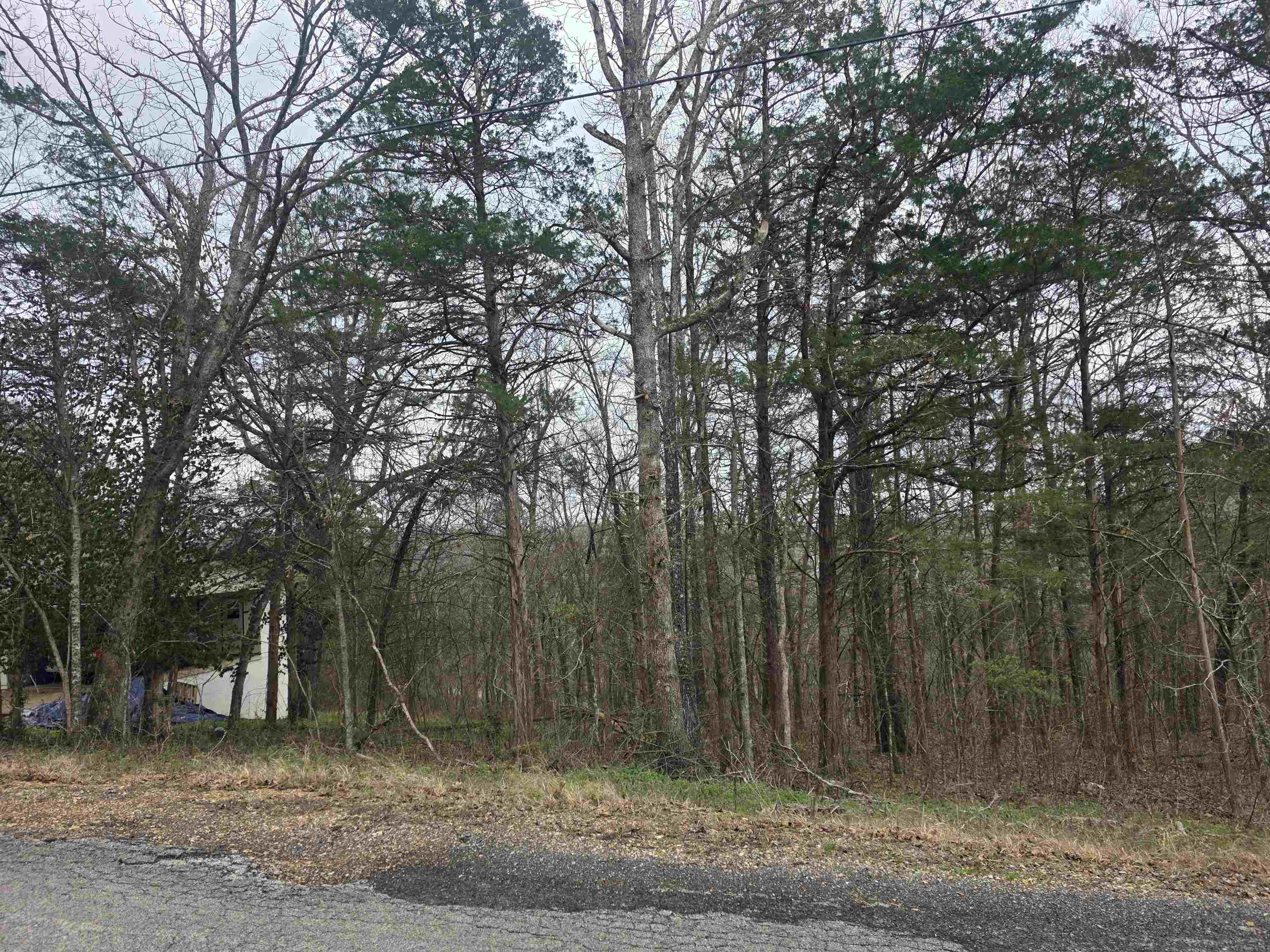L9 B3 Mineola Drive Property Photo 8