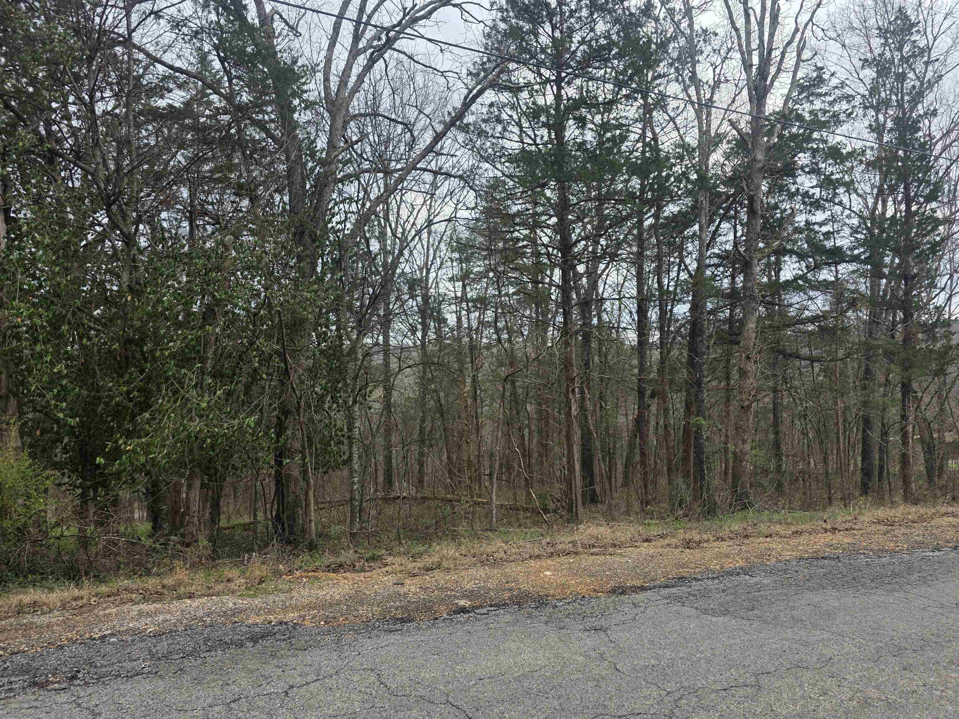 L9 B3 Mineola Drive Property Photo 10