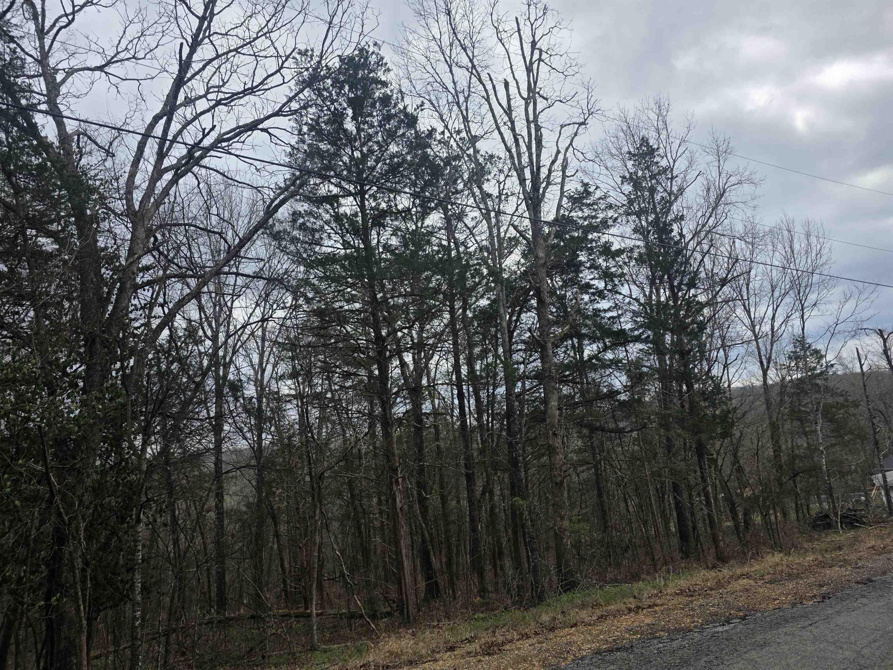 L9 B3 Mineola Drive Property Photo 12