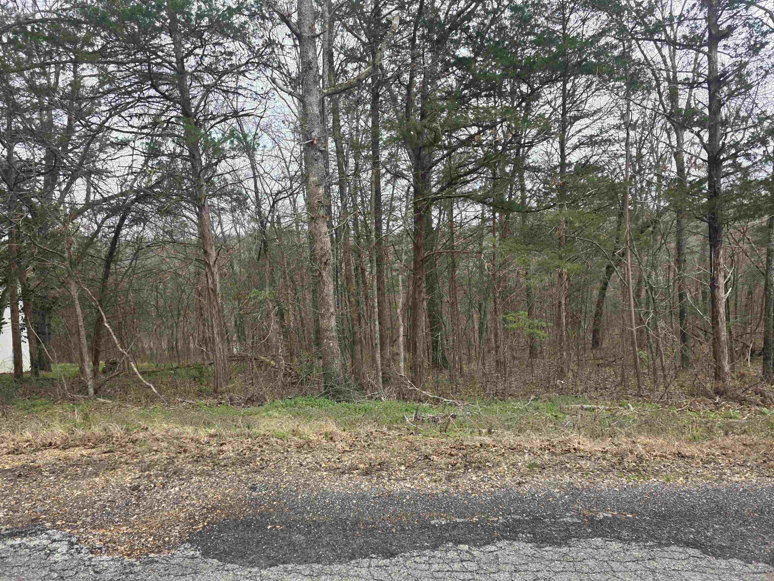 L9 B3 Mineola Drive Property Photo 13