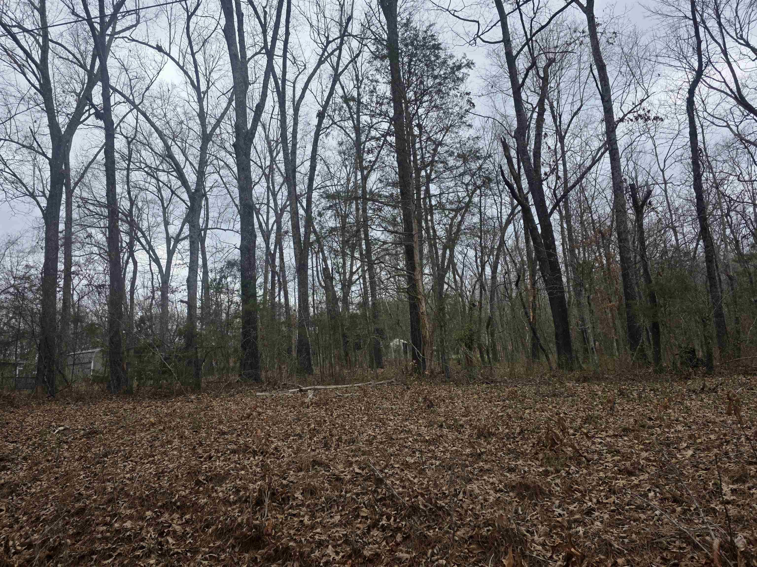 L33 B2 Cherokee Road Property Photo 1