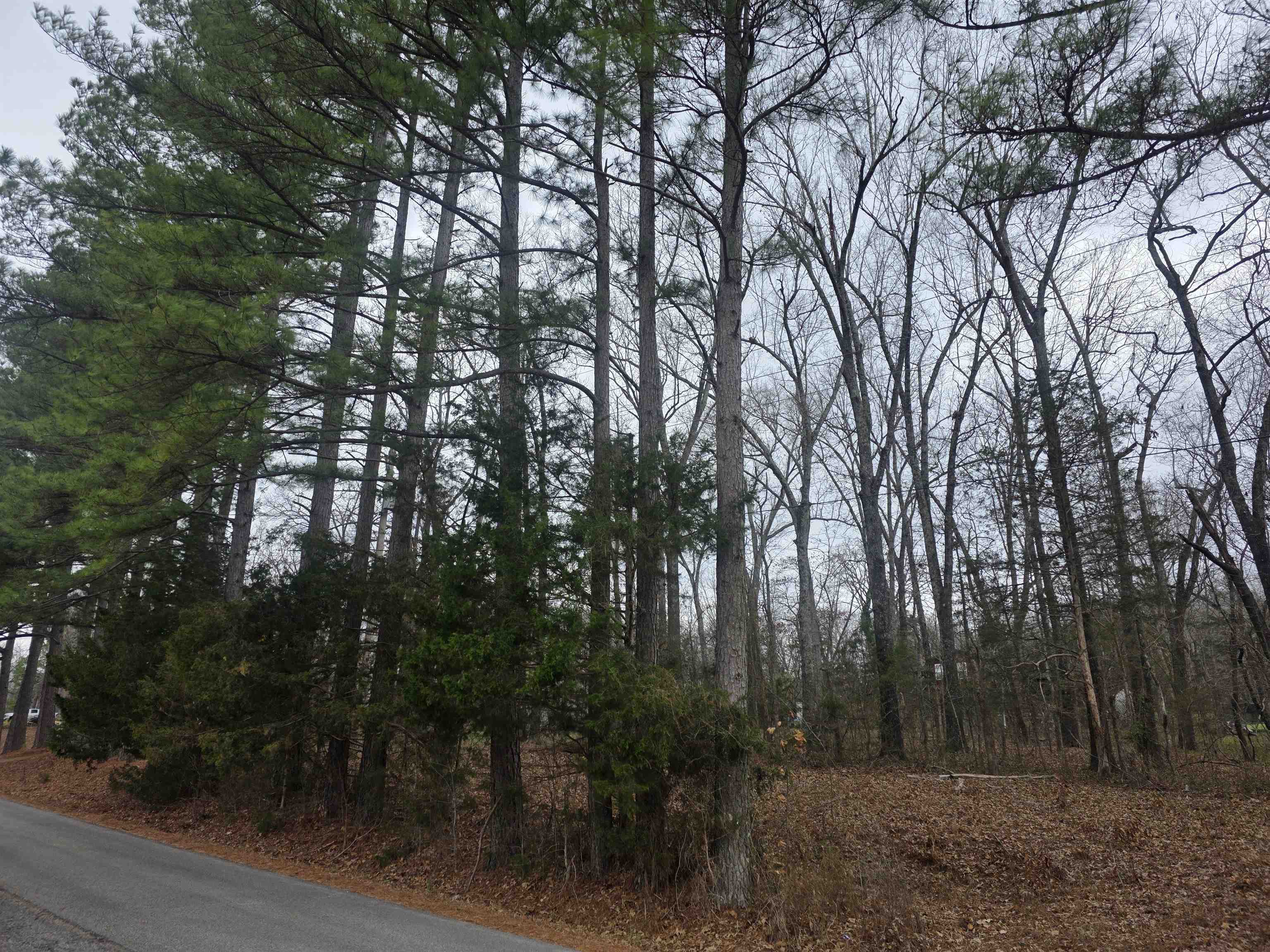 L33 B2 Cherokee Road Property Photo 3