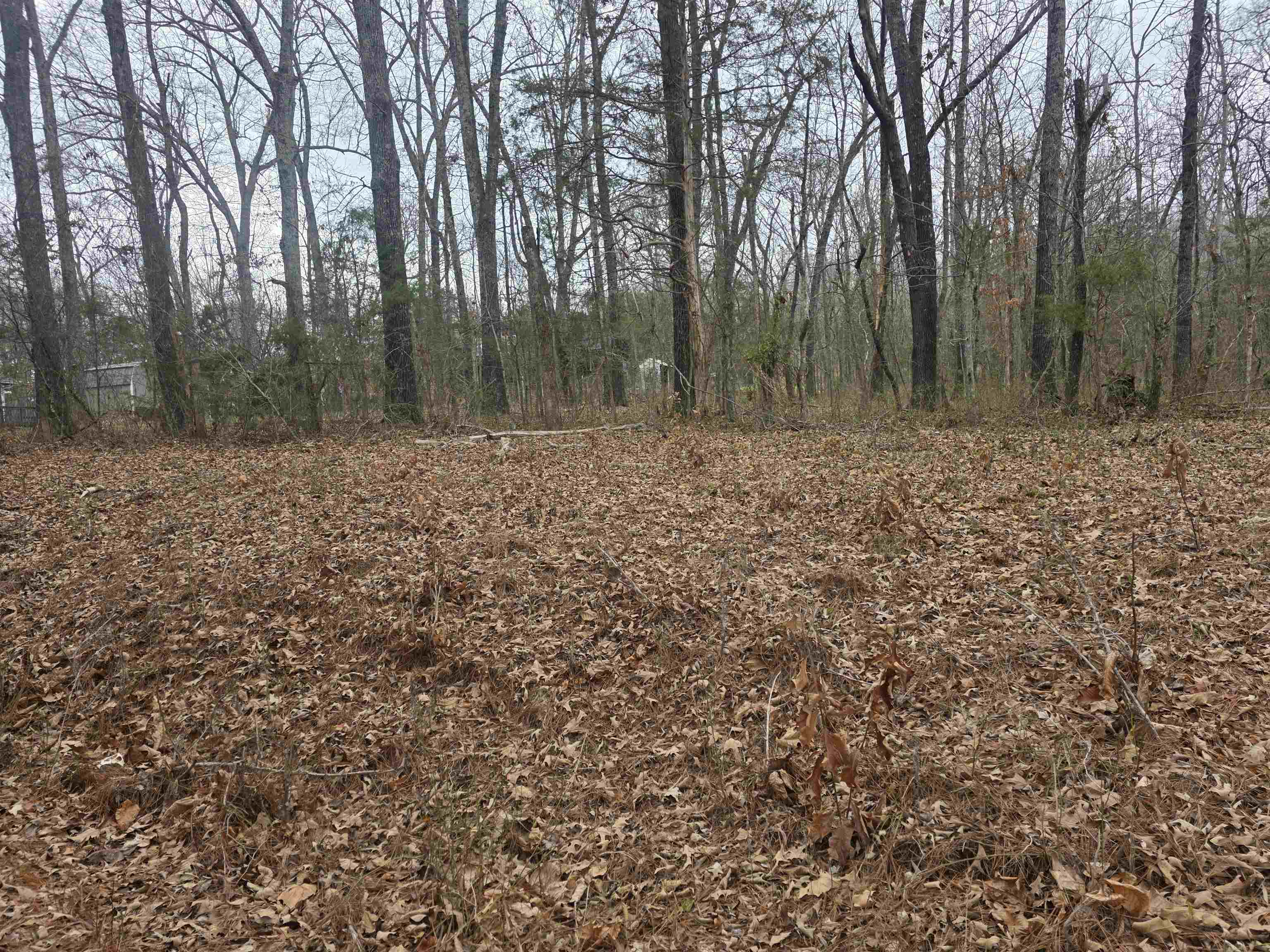 L33 B2 Cherokee Road Property Photo 11