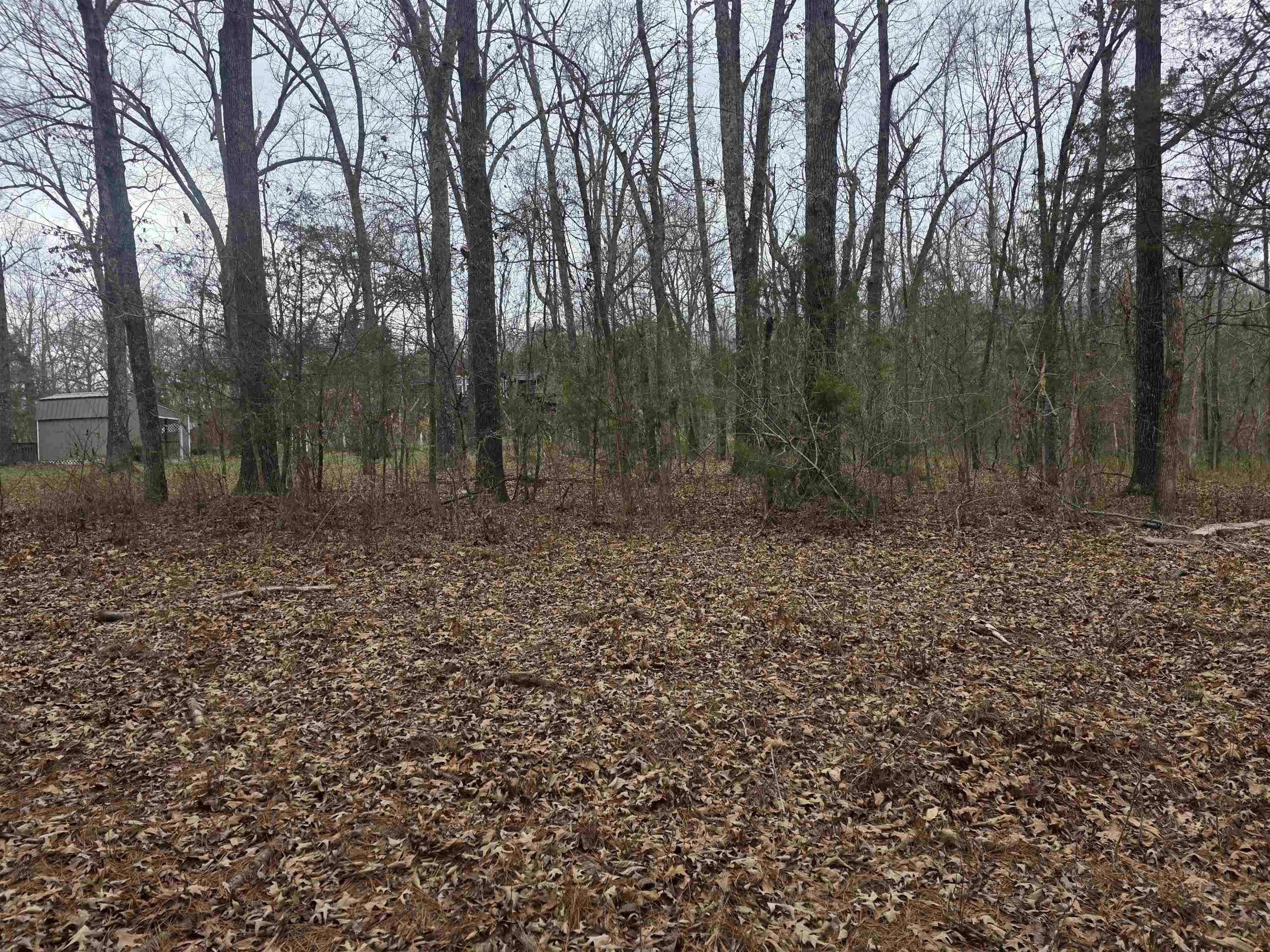 L33 B2 Cherokee Road Property Photo 13