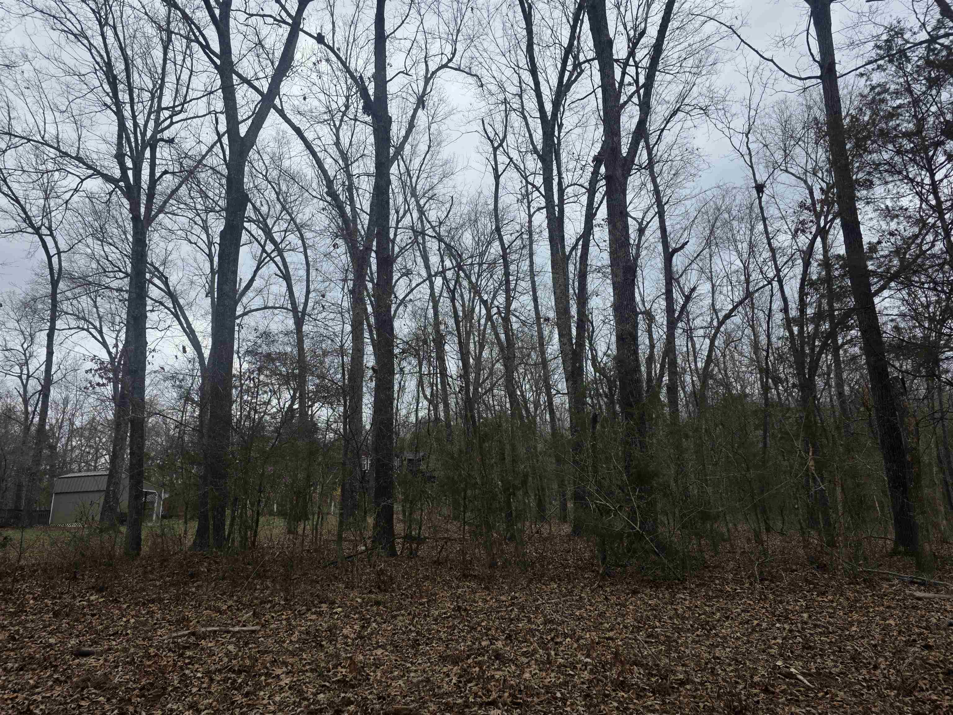 L33 B2 Cherokee Road Property Photo 14
